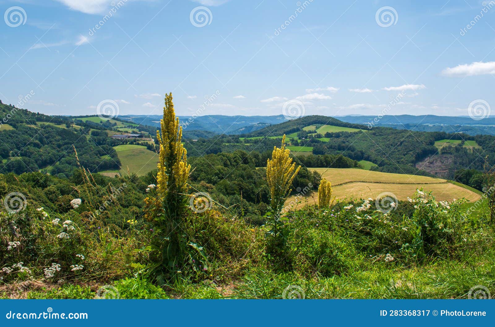 landscape of the aubrac plateau, aveyron, france