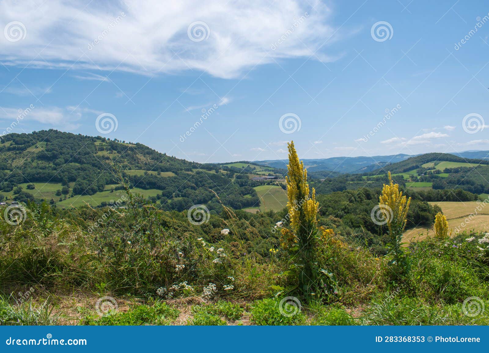 landscape of the aubrac plateau, aveyron, france