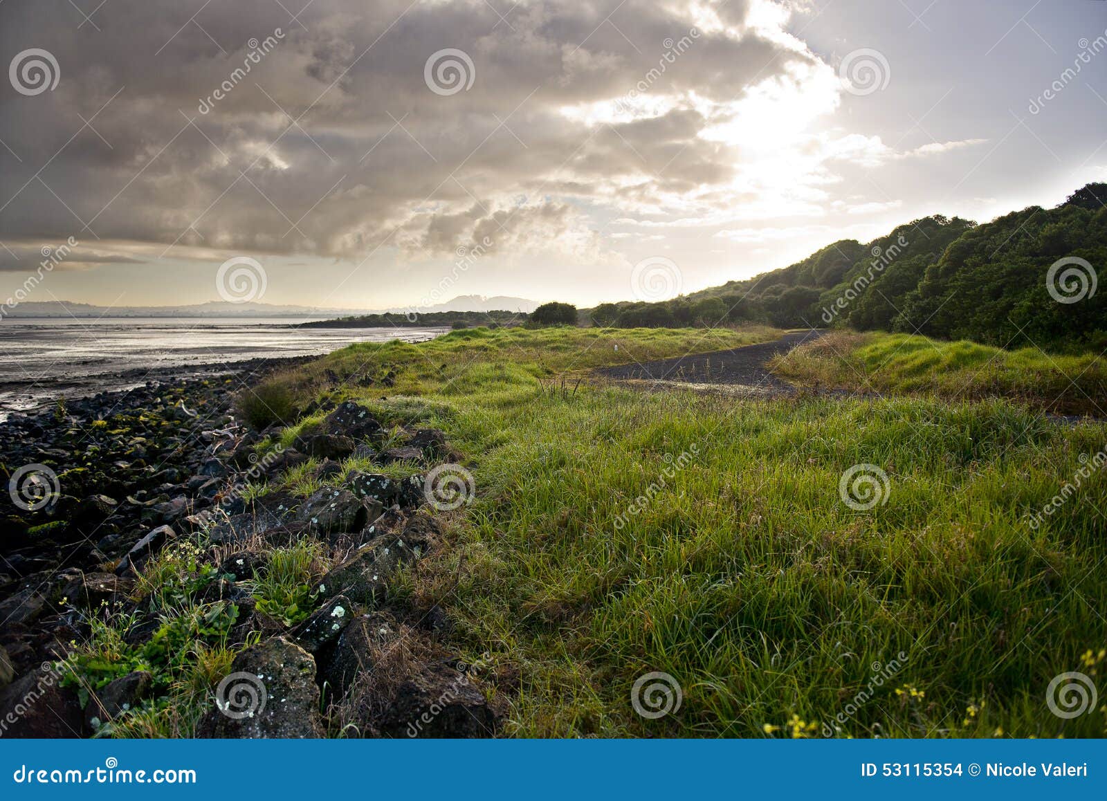 Underlegen fusion smør Auckland Landscape stock photo. Image of newzealand, mindless - 53115354