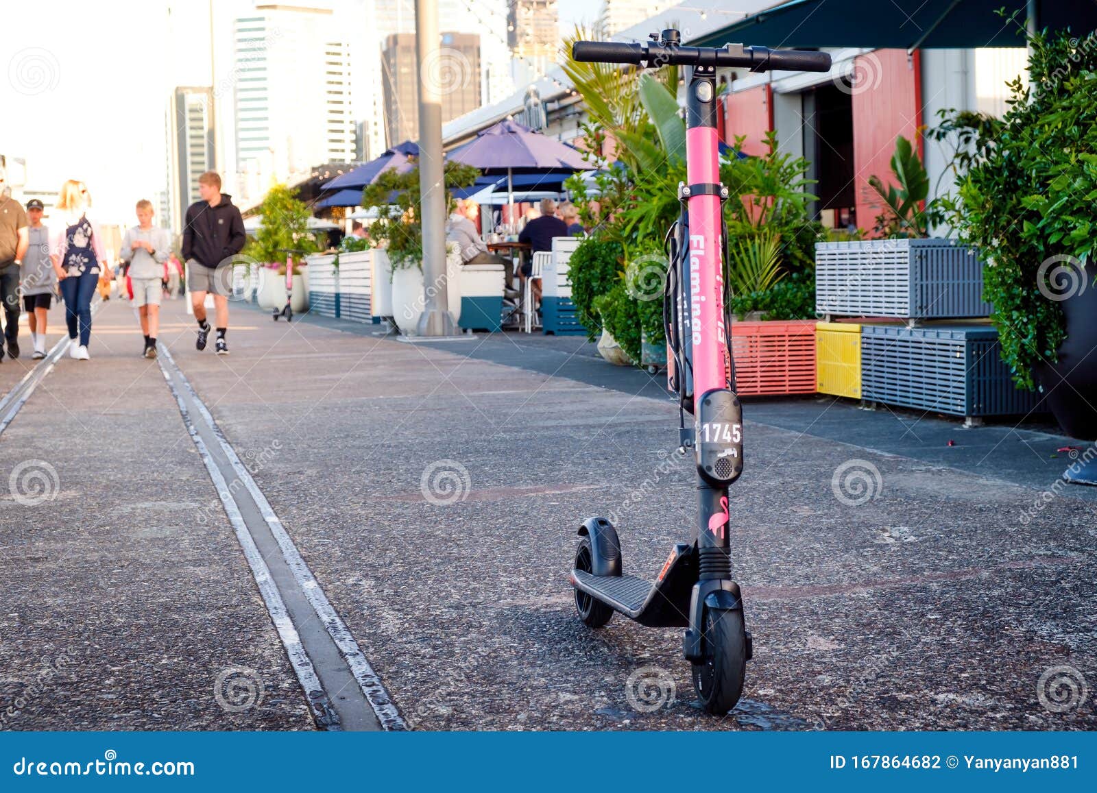 flamingo scooters