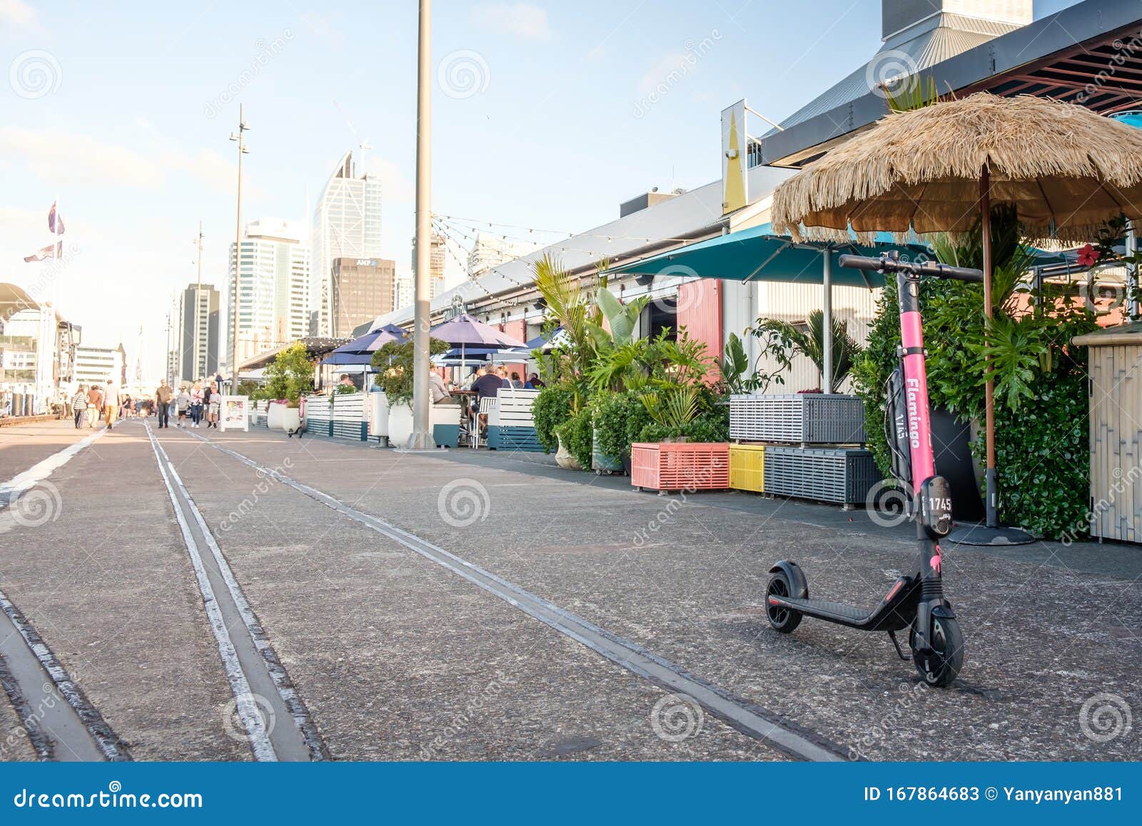 flamingo scooters