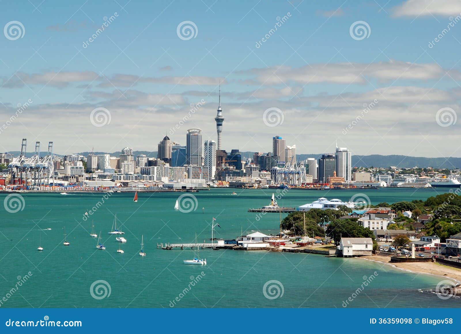 auckland skyline. new zealand