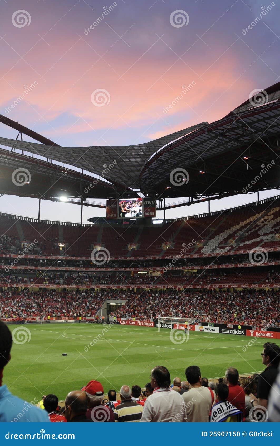 Soccer Stadium Crowd Fans, Football Arena Audience, Real People
