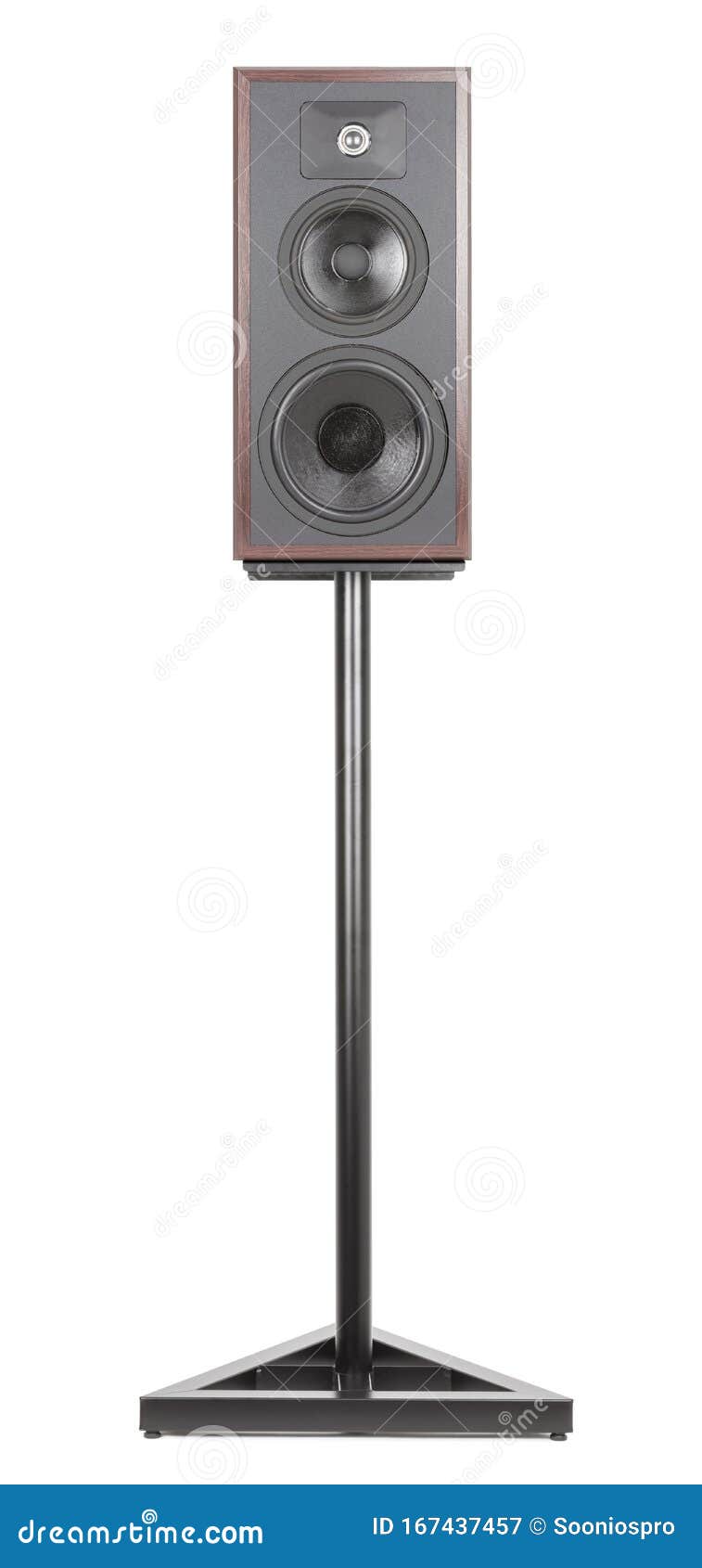 pa system with monitors