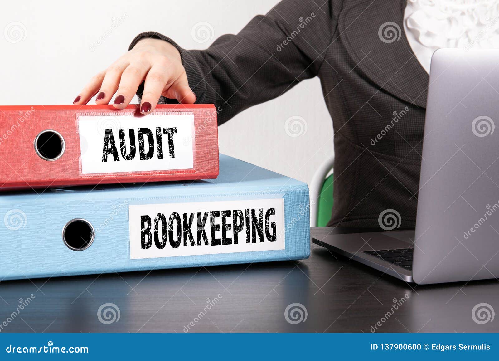 audit and bookkeeping concept