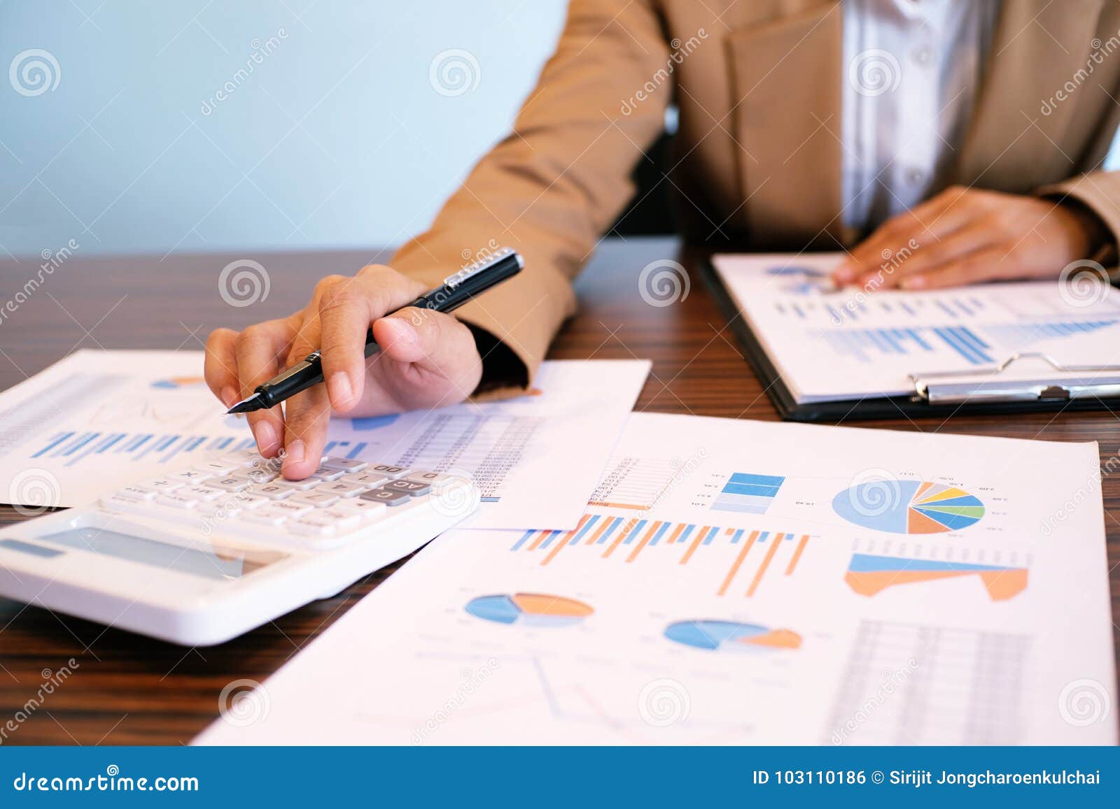 auditor or internal revenue service staff, financial inspector m
