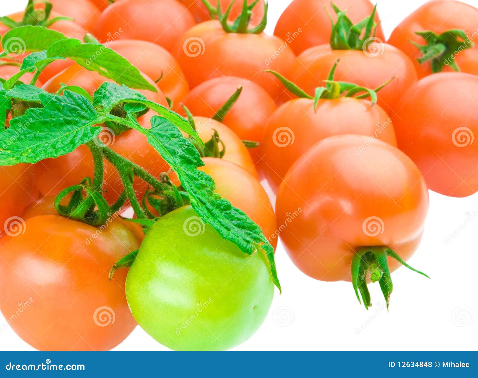 Aufbau der Tomate stockfoto. Bild von tomate, landwirtschaft 12634848
