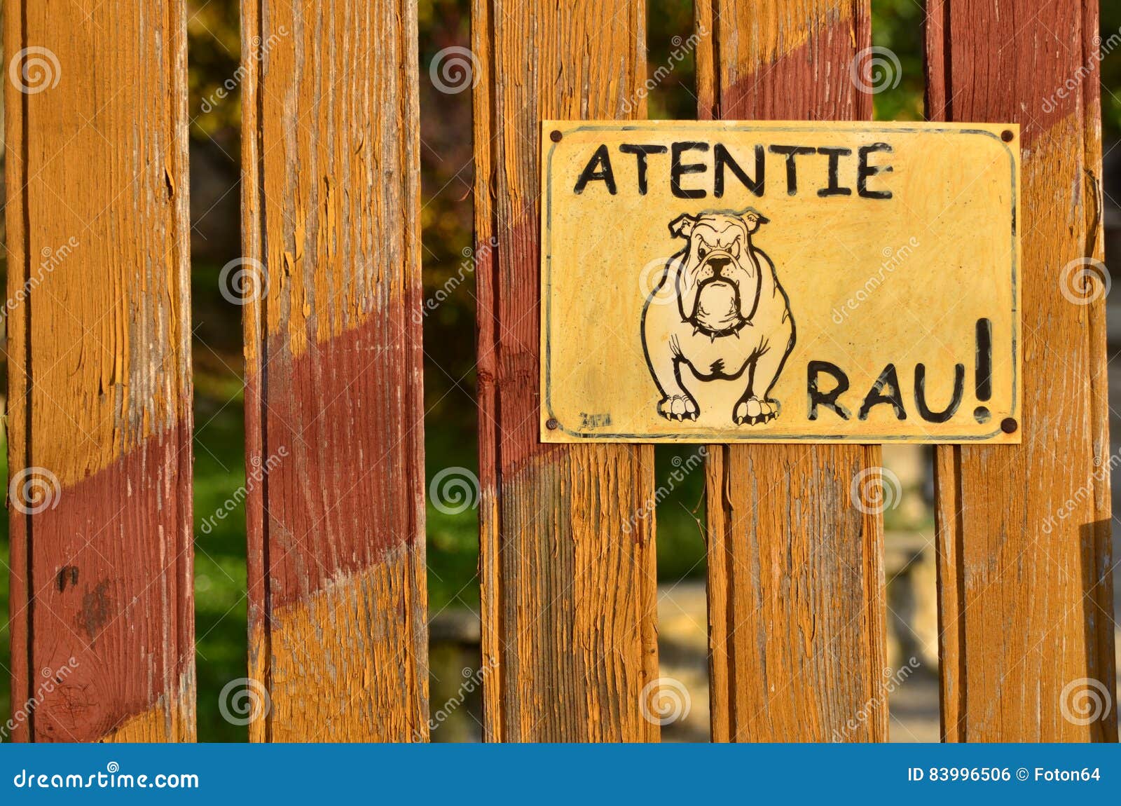 Aufmerksamkeit, Schlechter Hund! Stockfoto Bild von sicherheit