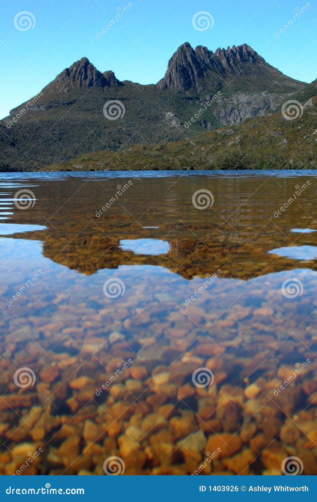 Aufnahmevorrichtungs-Berg und Dove See. Aufnahmevorrichtungs-Gebirgs-und Str.-Clair Nationalpark des Dove See-, Aufnahmevorrichtungs-Mountainsee, Tasmanien, Australien