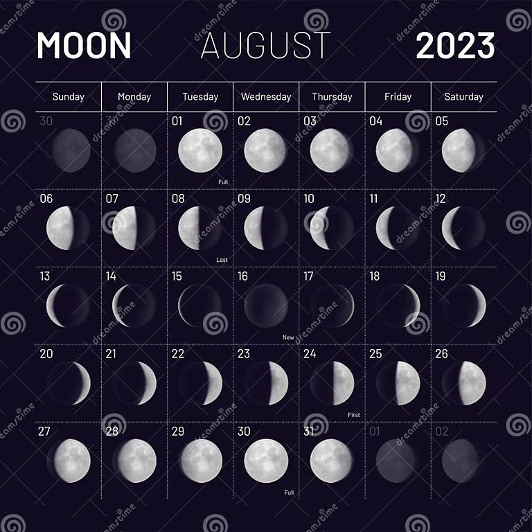 August Lunar Calendar for 2023 Year, Monthly Cycle Planner Stock Vector
