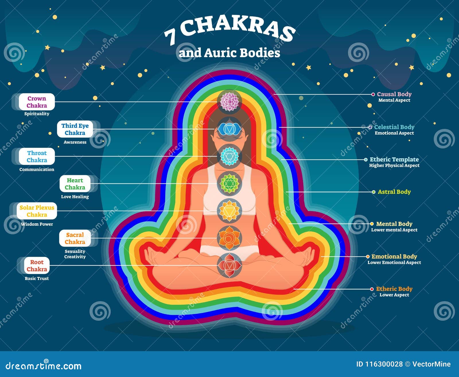 aura body layers, spiritual energy   diagram with seven chakras. energy balance system.yoga practice and healing