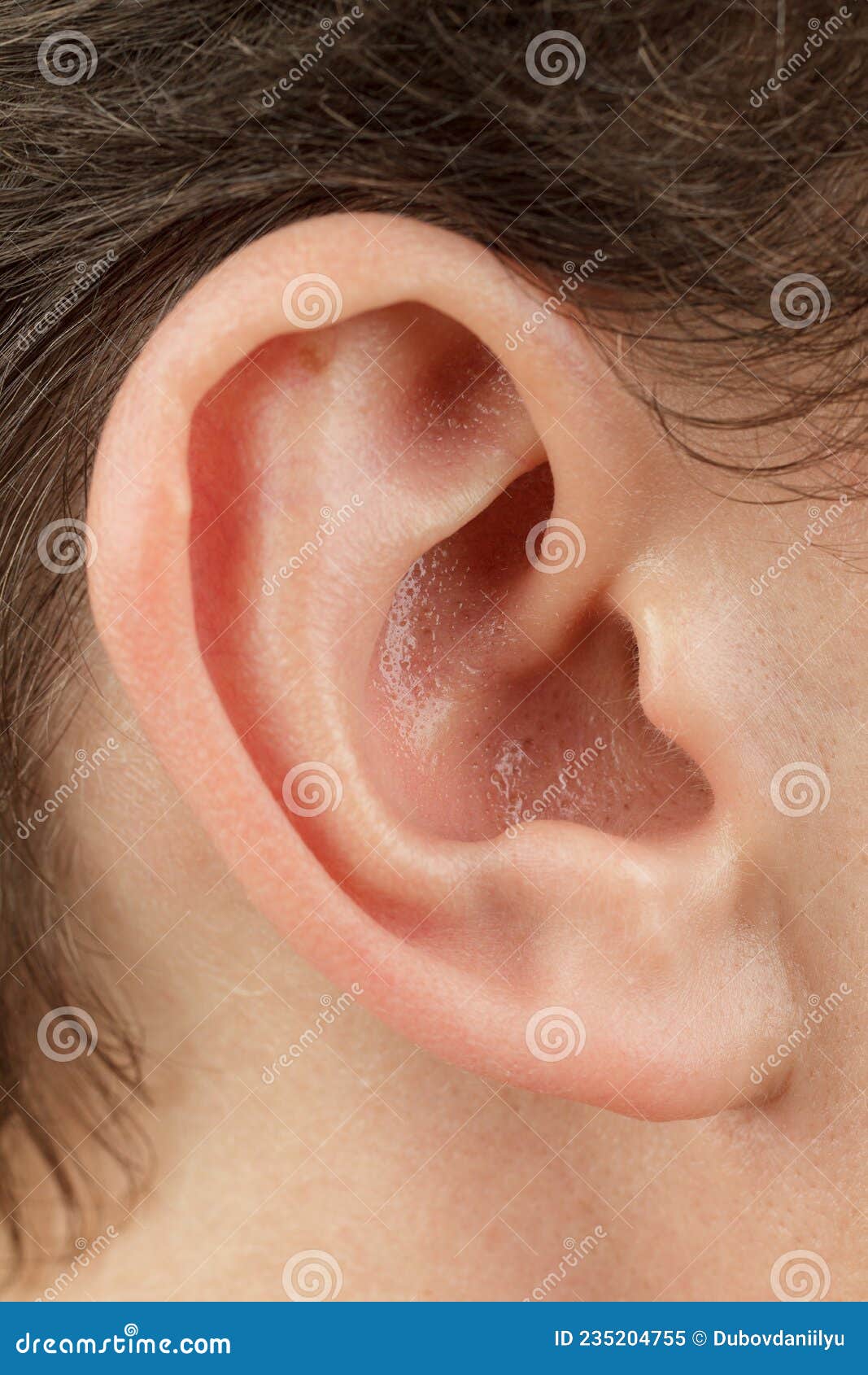 auricle close-up, outer ear, human anatomy hearing aid, ear canal, tragus and antitumor, lobe, selective