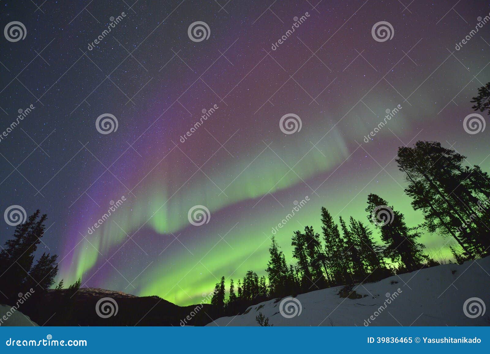Auroras boreais roxas imagem de stock. Imagem de yukon - 39836465, image size:1600x1155