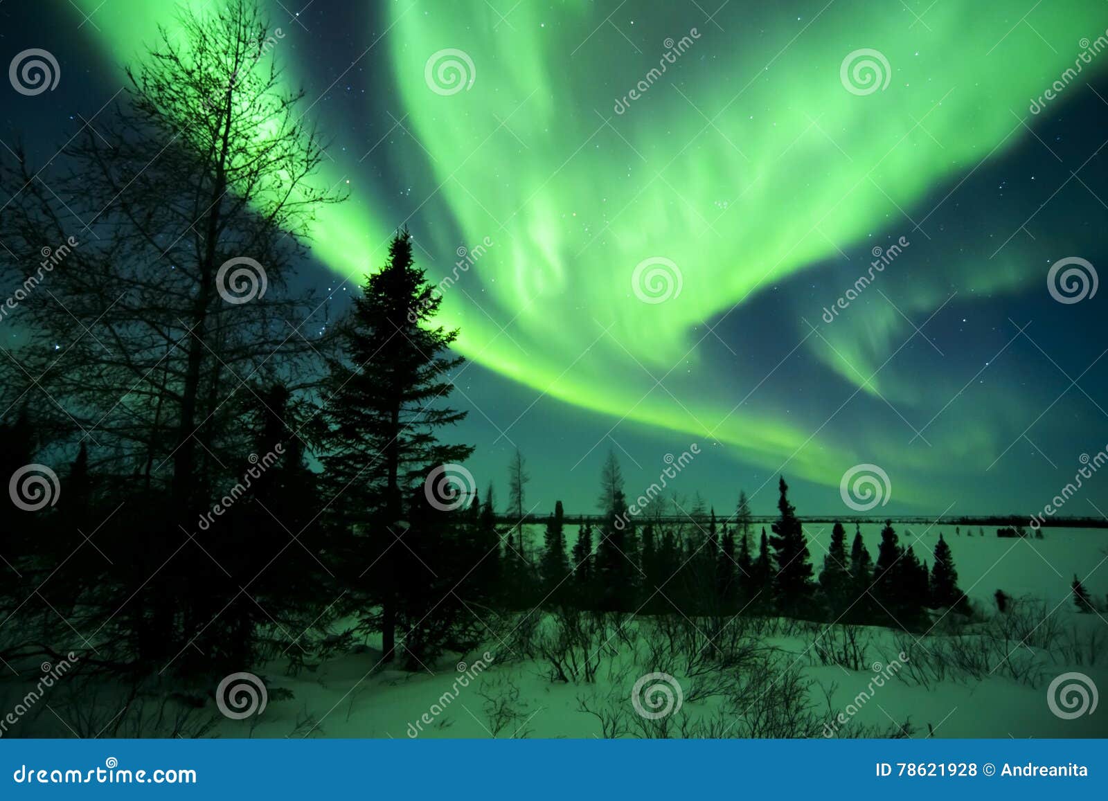 aurora borealis above tundra