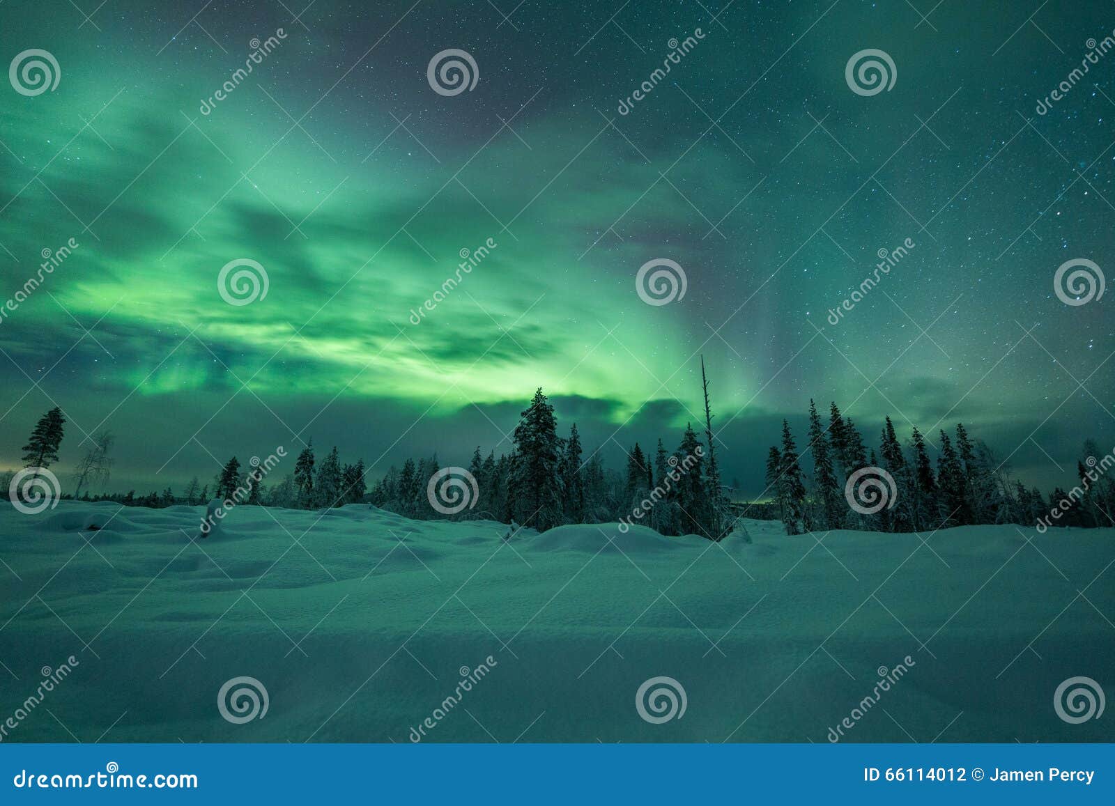 Aurora Borealis (Northern Lights) in Finland, Lapland Forest Stock ...