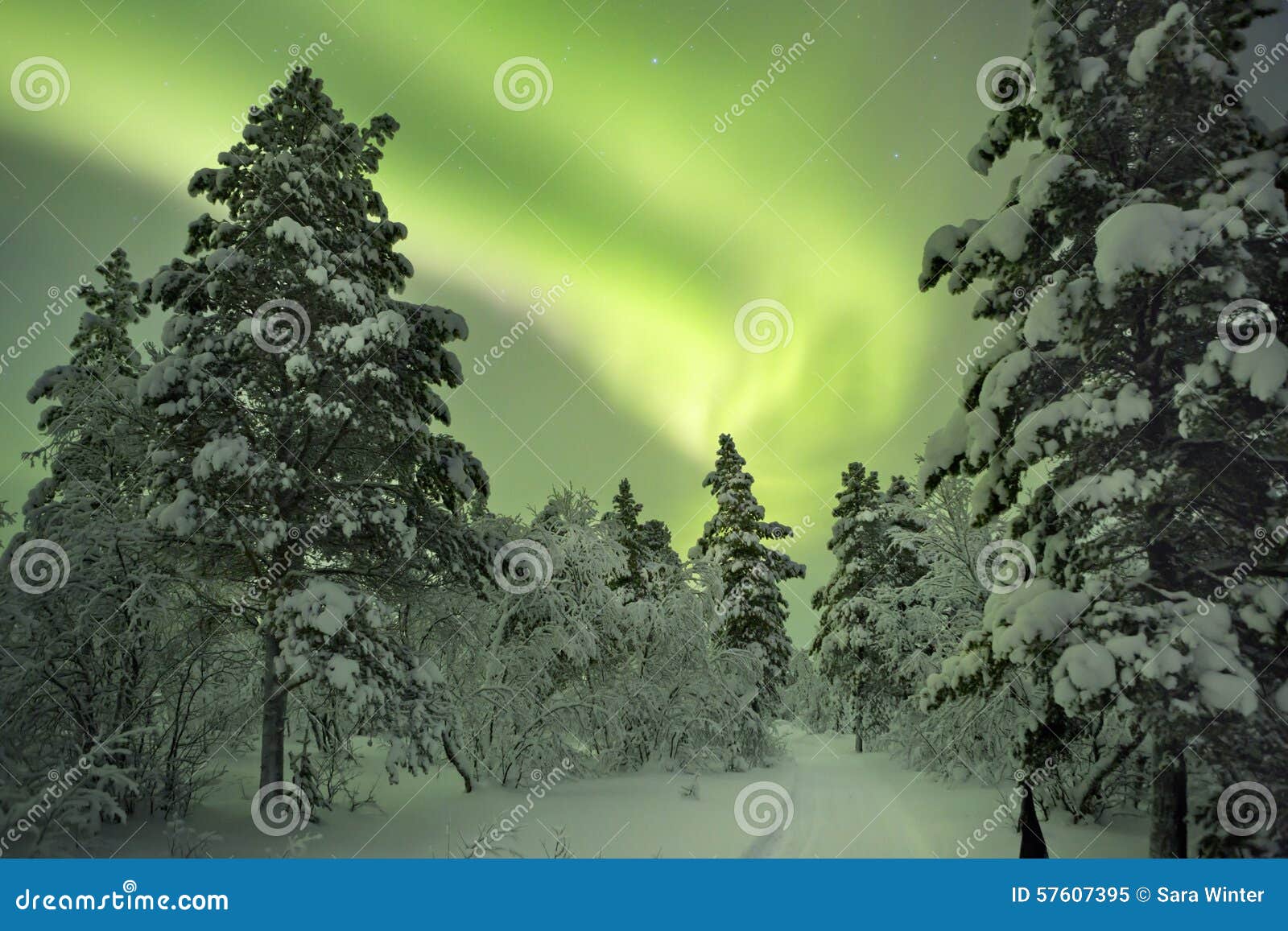 aurora borealis over a path through winter landscape, finnish la