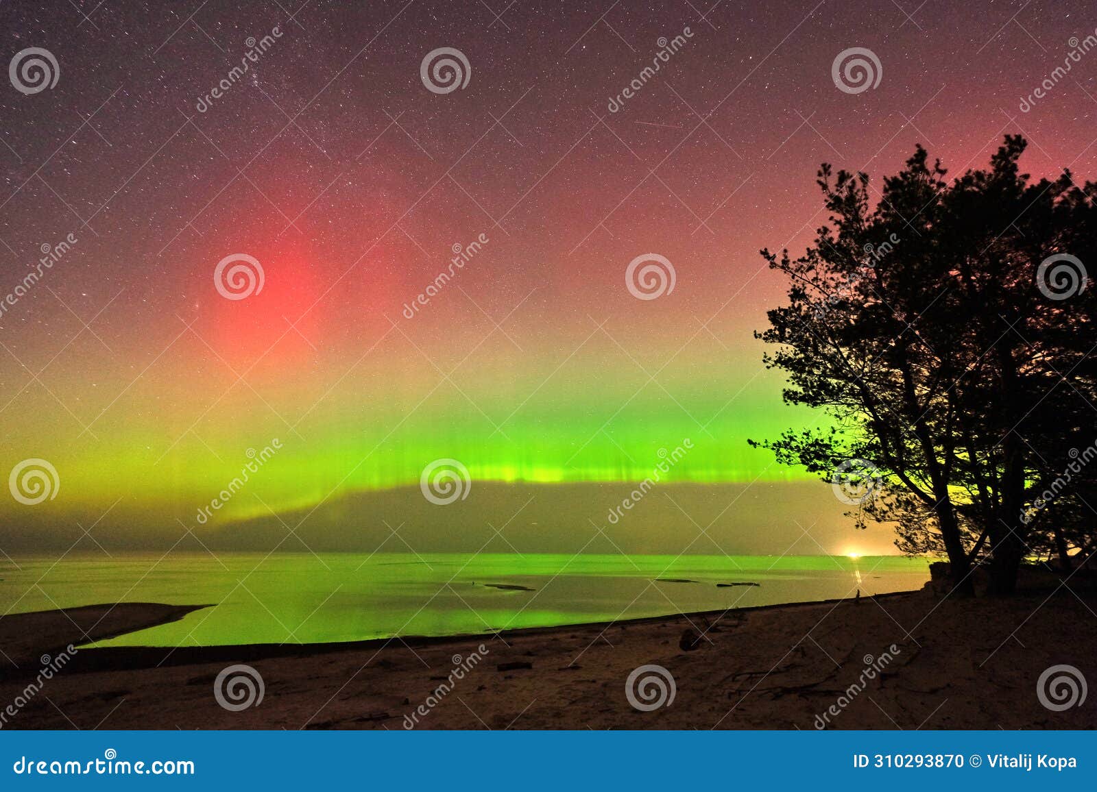 aurora polar lights observing