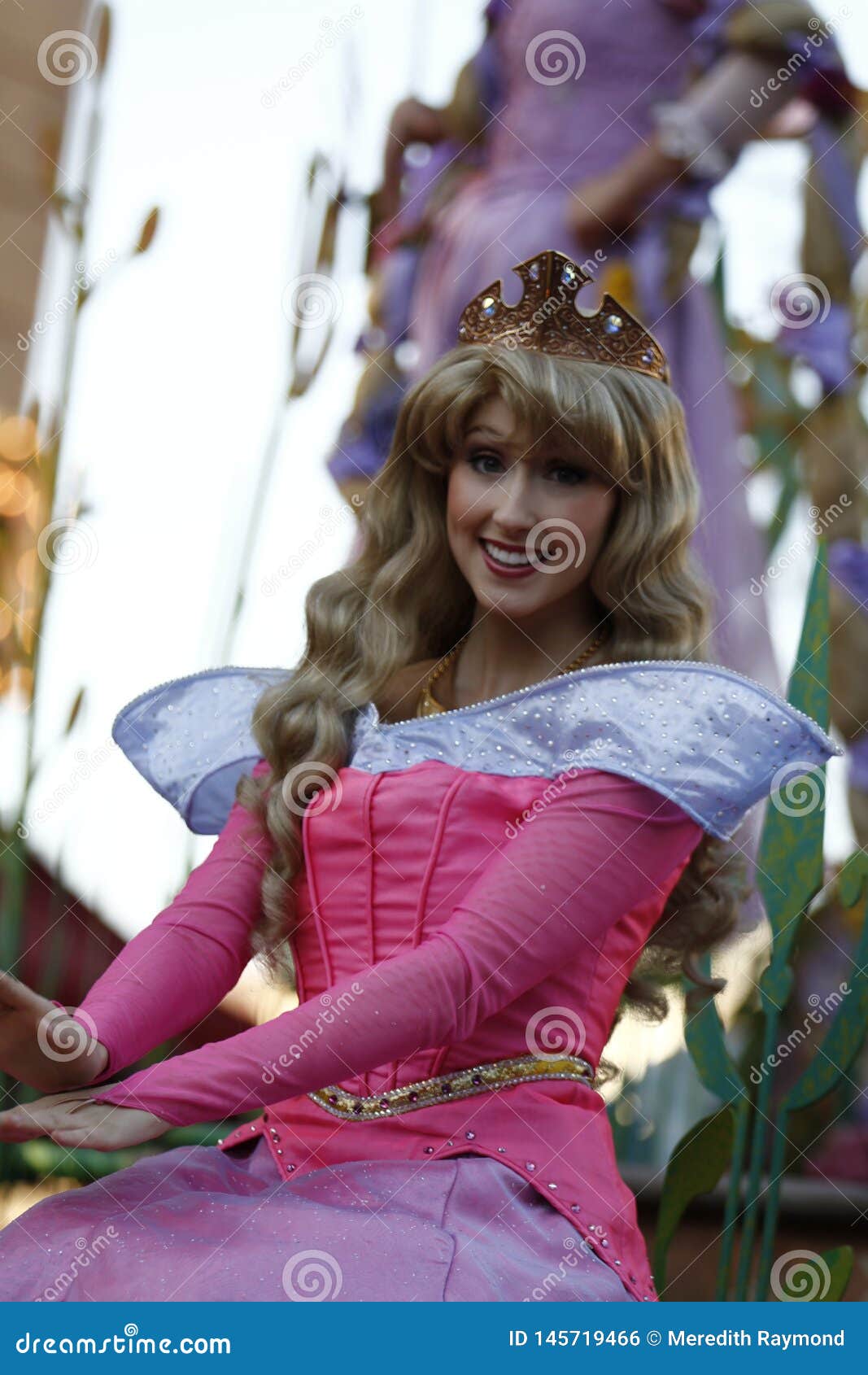La Bella Durmiente Princesa Aurora Party Girls Costume Dress  Envío gratis
