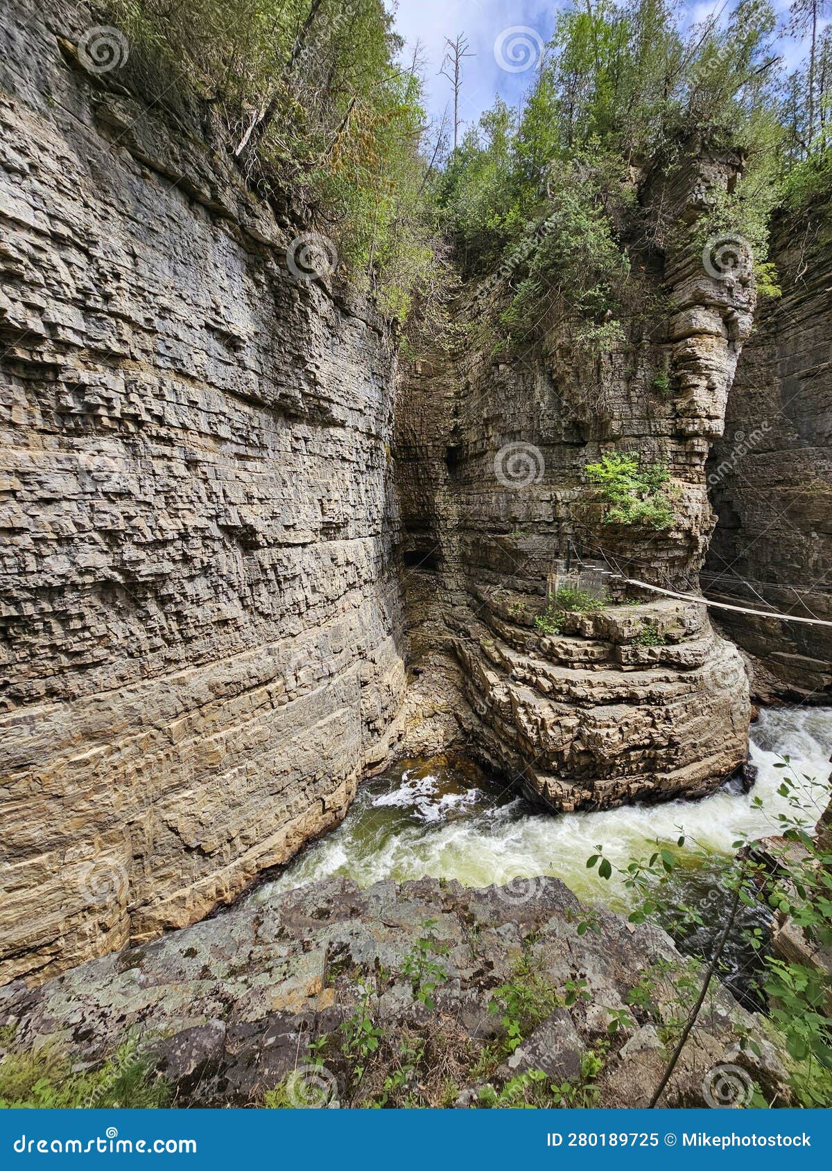 Ausable Chasm Canyon Cliffs Stock Image Image of trunk, cliffs 280189725