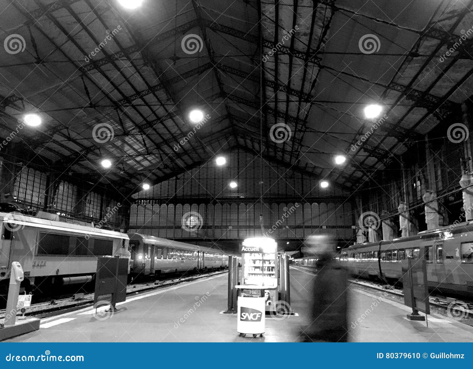 Austerlitz Train Station Paris Editorial Image Image of france, paris