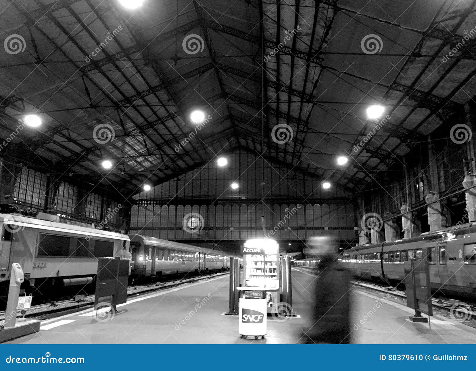 Austerlitz Train Station Paris Editorial Image Image Of France Paris