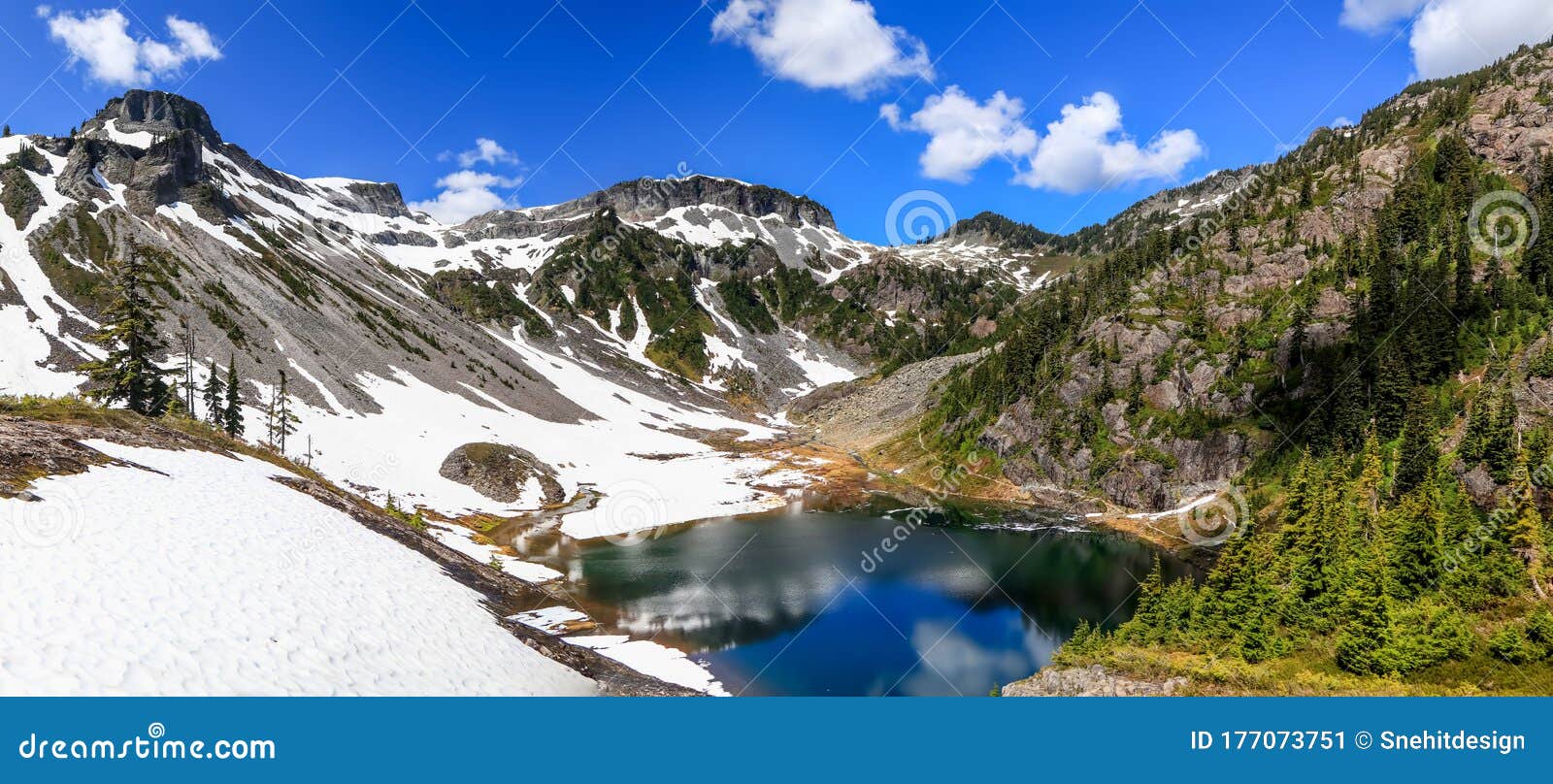 Austin Pass in Mount Baker Ski Area Stock Image Image of evergreen