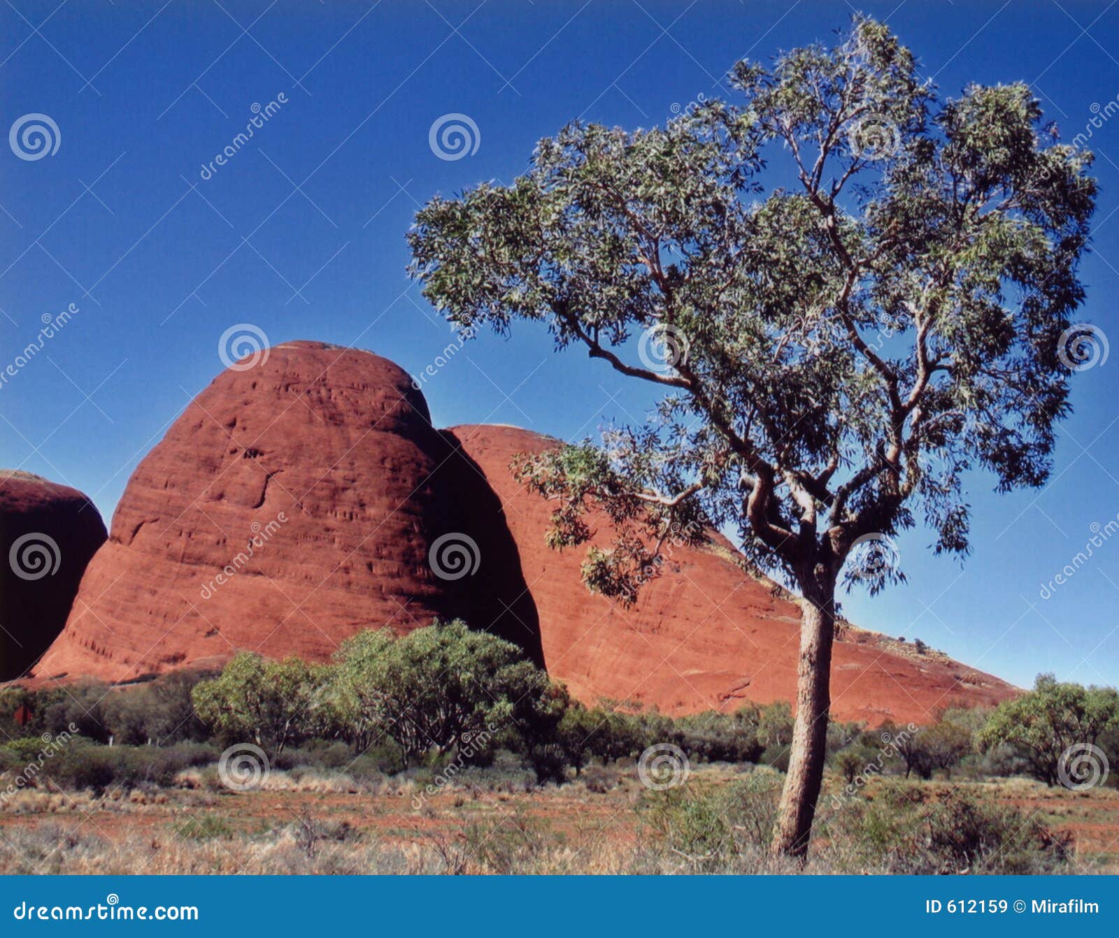 australia