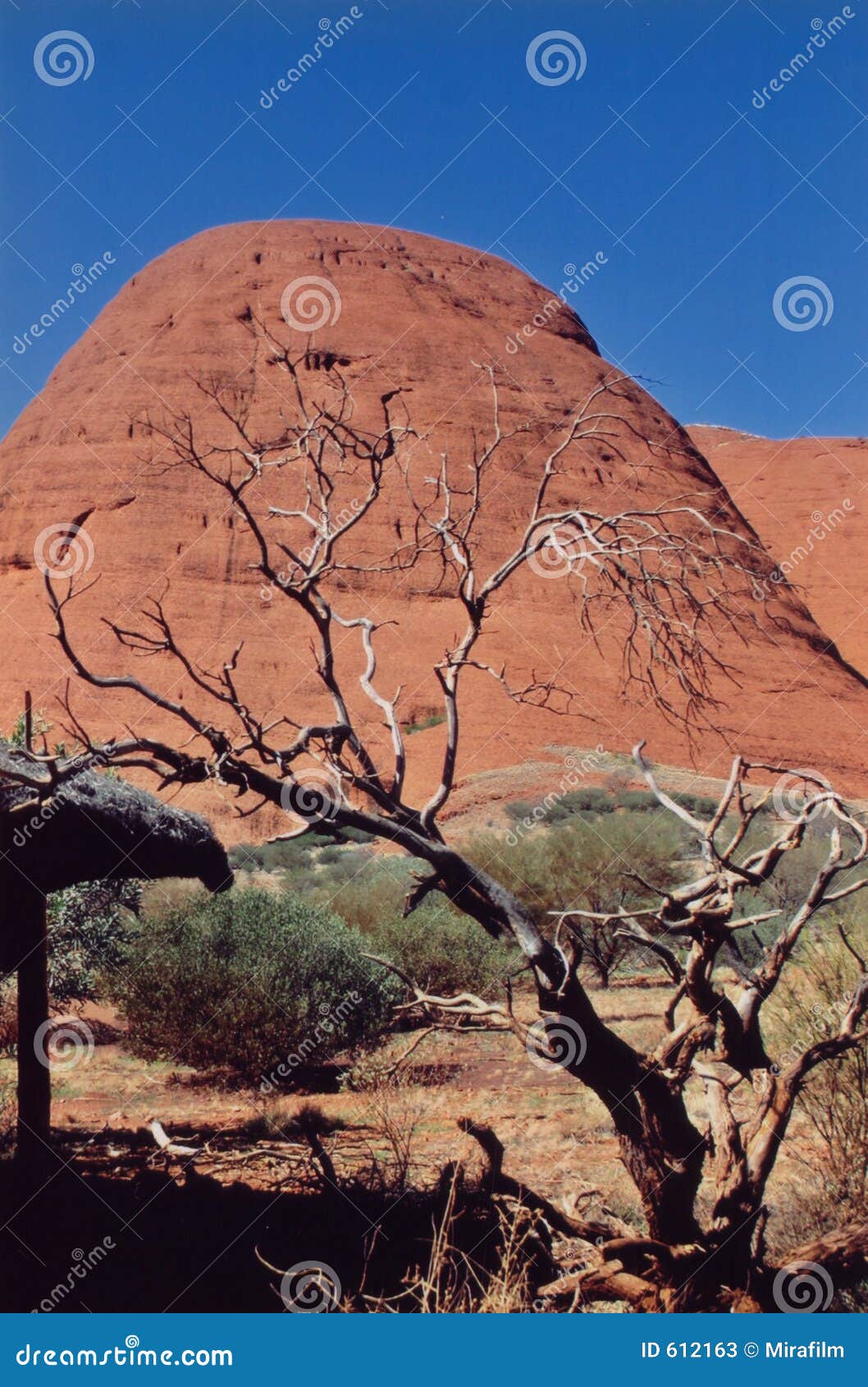 australia