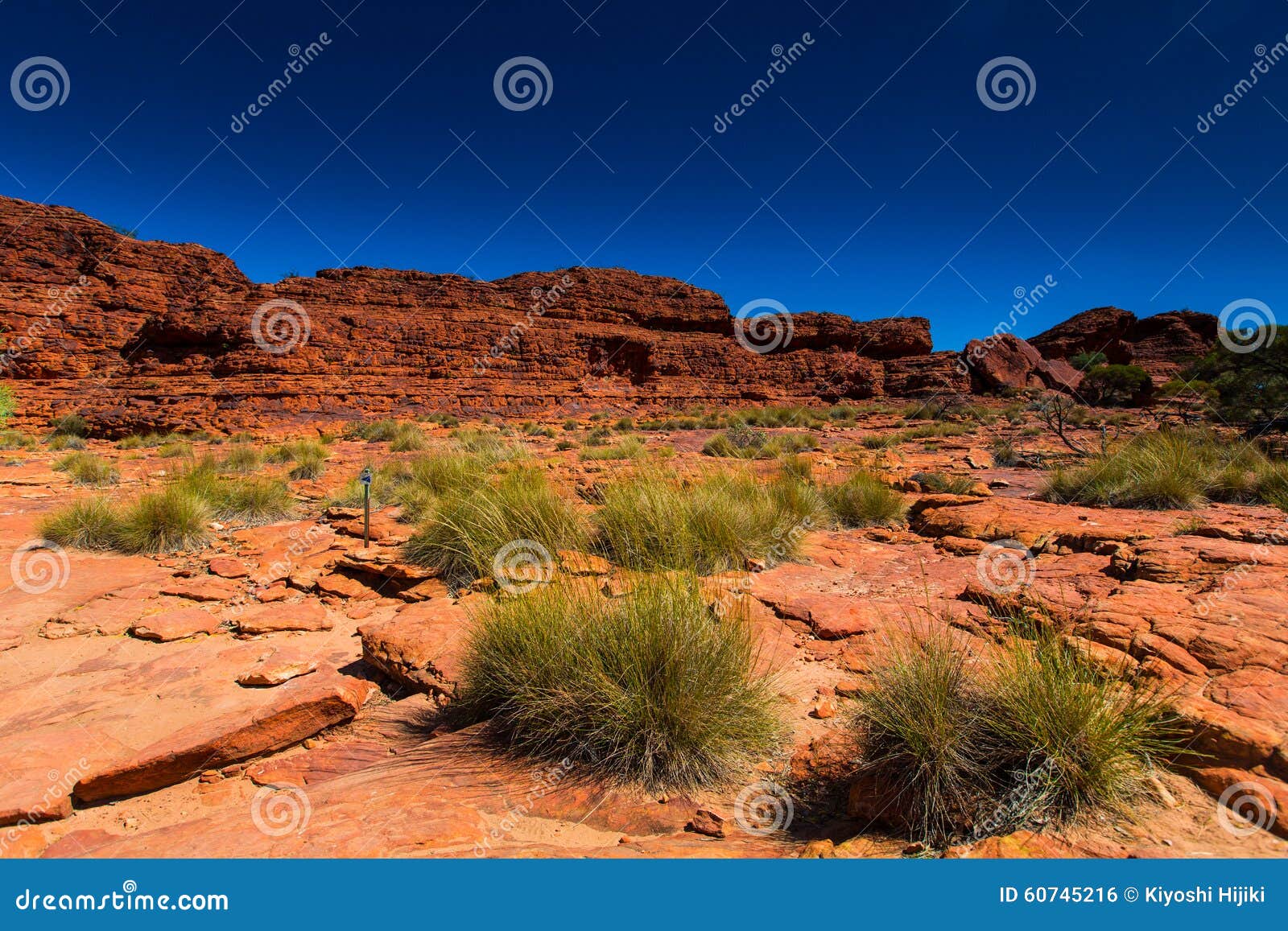 australia outback landscape view
