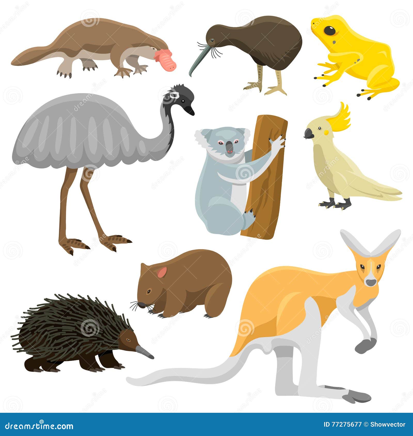 Australia Wild Animals Cartoon Vector Collection Stock Vector -  Illustration of marsupial, design: 77275677