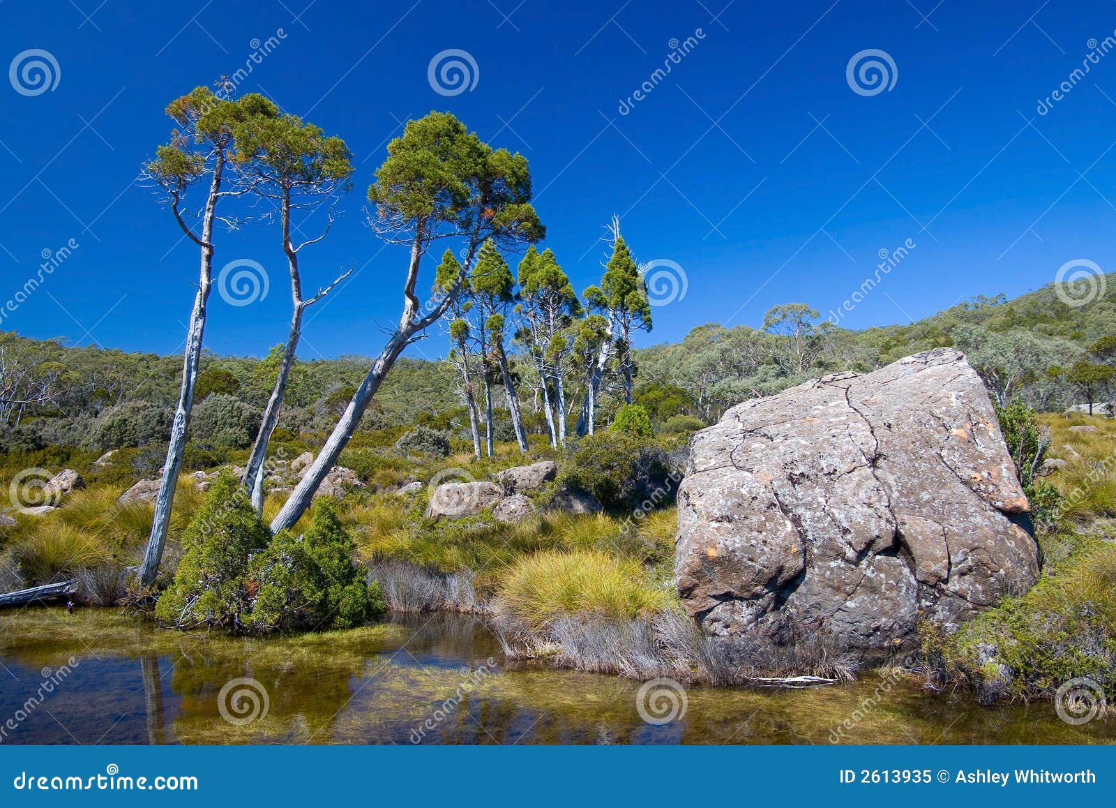 australian alpine plateau