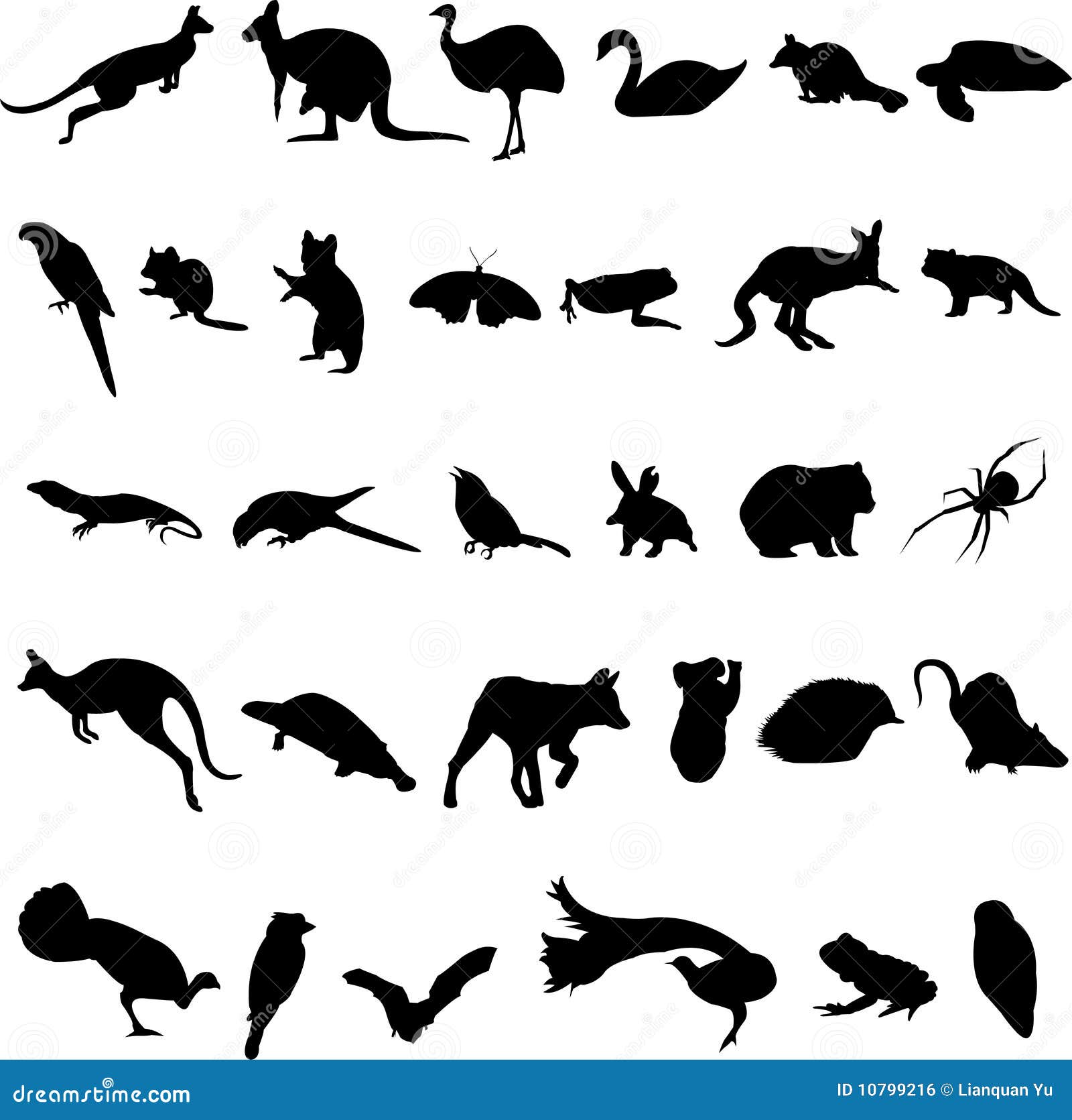 Download Australian Animals Stock Vector Illustration Of Animal 10799216