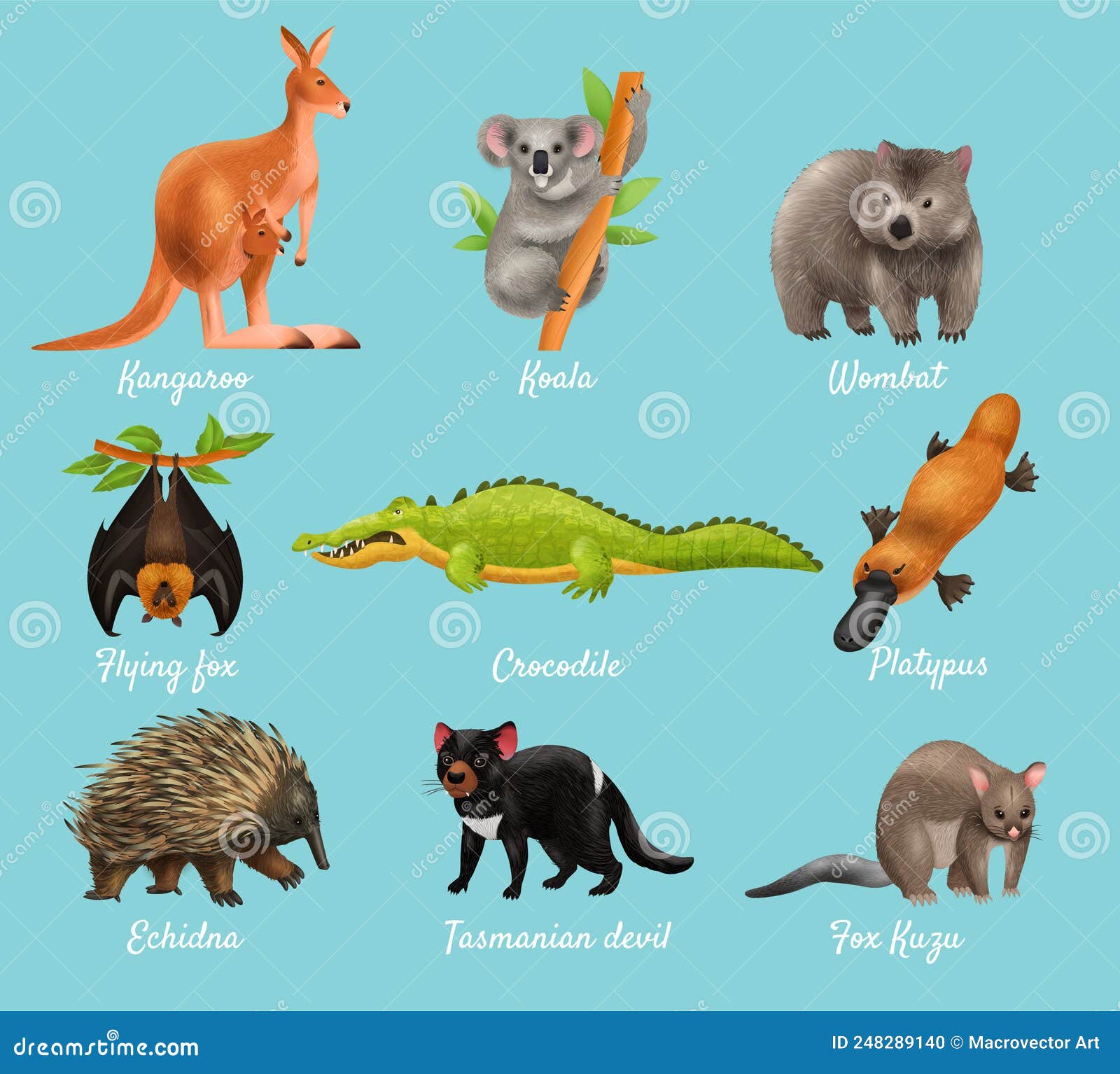 australian animals  concept