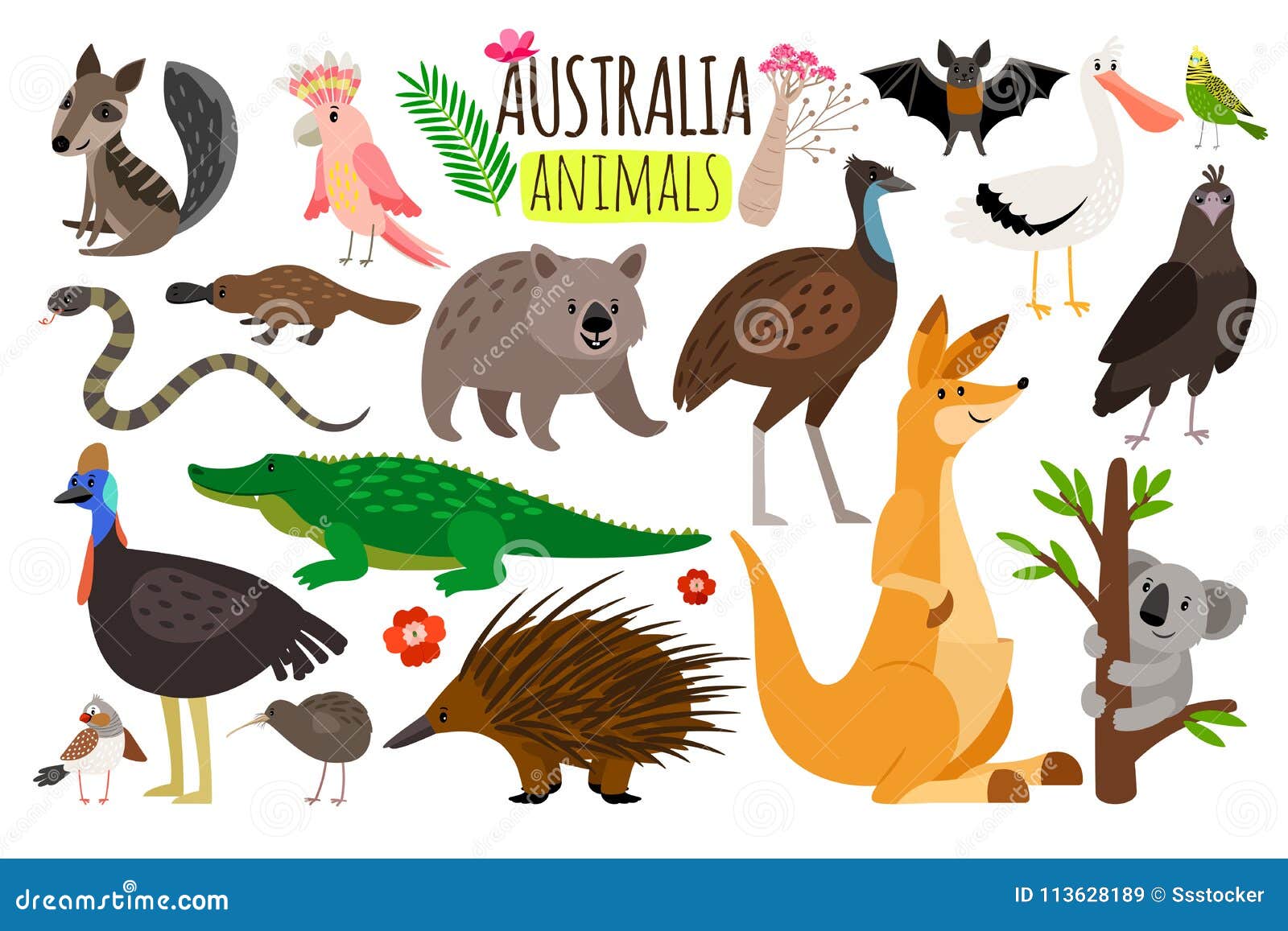 Australian Animals Stock Illustrations – 3,583 Australian Animals Stock  Illustrations, Vectors & Clipart - Dreamstime