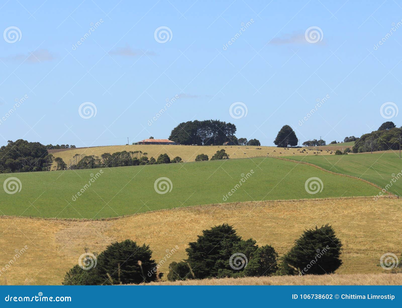 Australian farm land stock photo. Image of outback, house 106738602