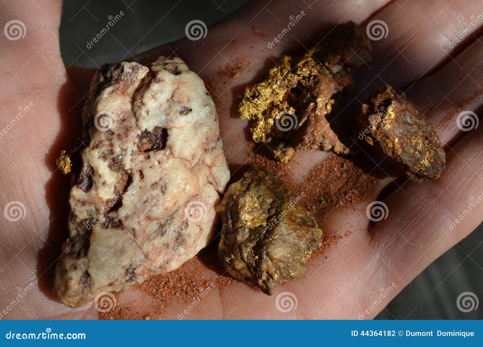 Australian gold stock photo. Image of quartz, metal, natural 44364182