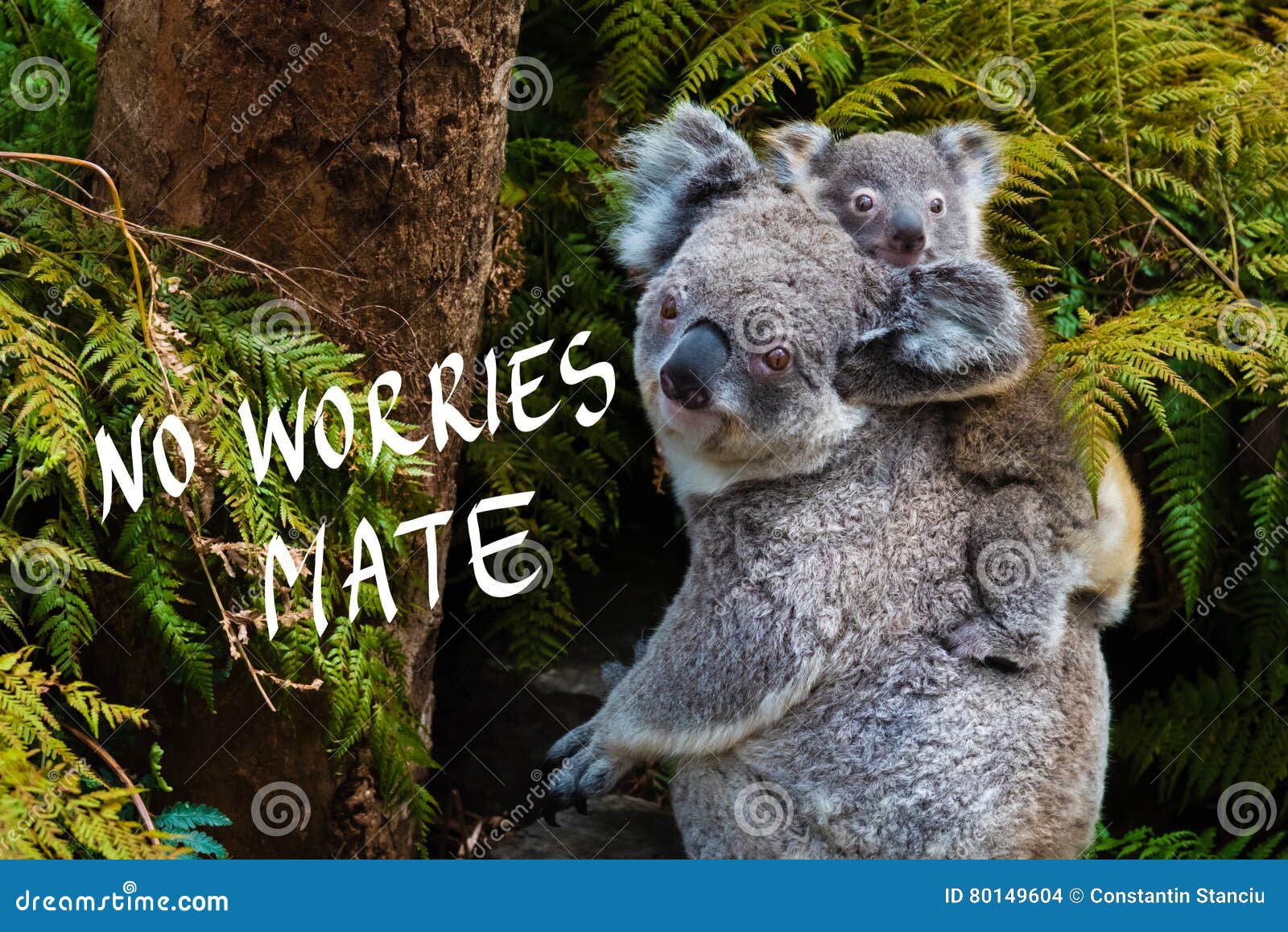 412 No Worries Photos Free Royalty Free Stock Photos From Dreamstime