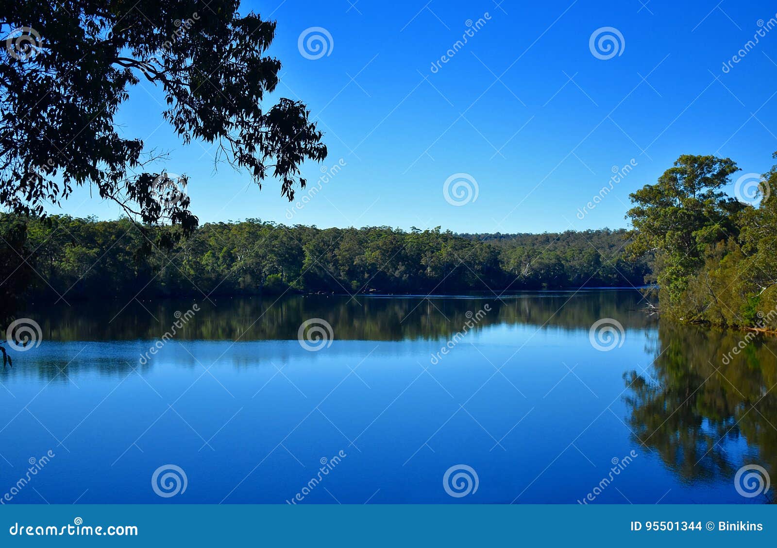 Australian Lake stock photo. Image of forest, bush, beautiful 95501344
