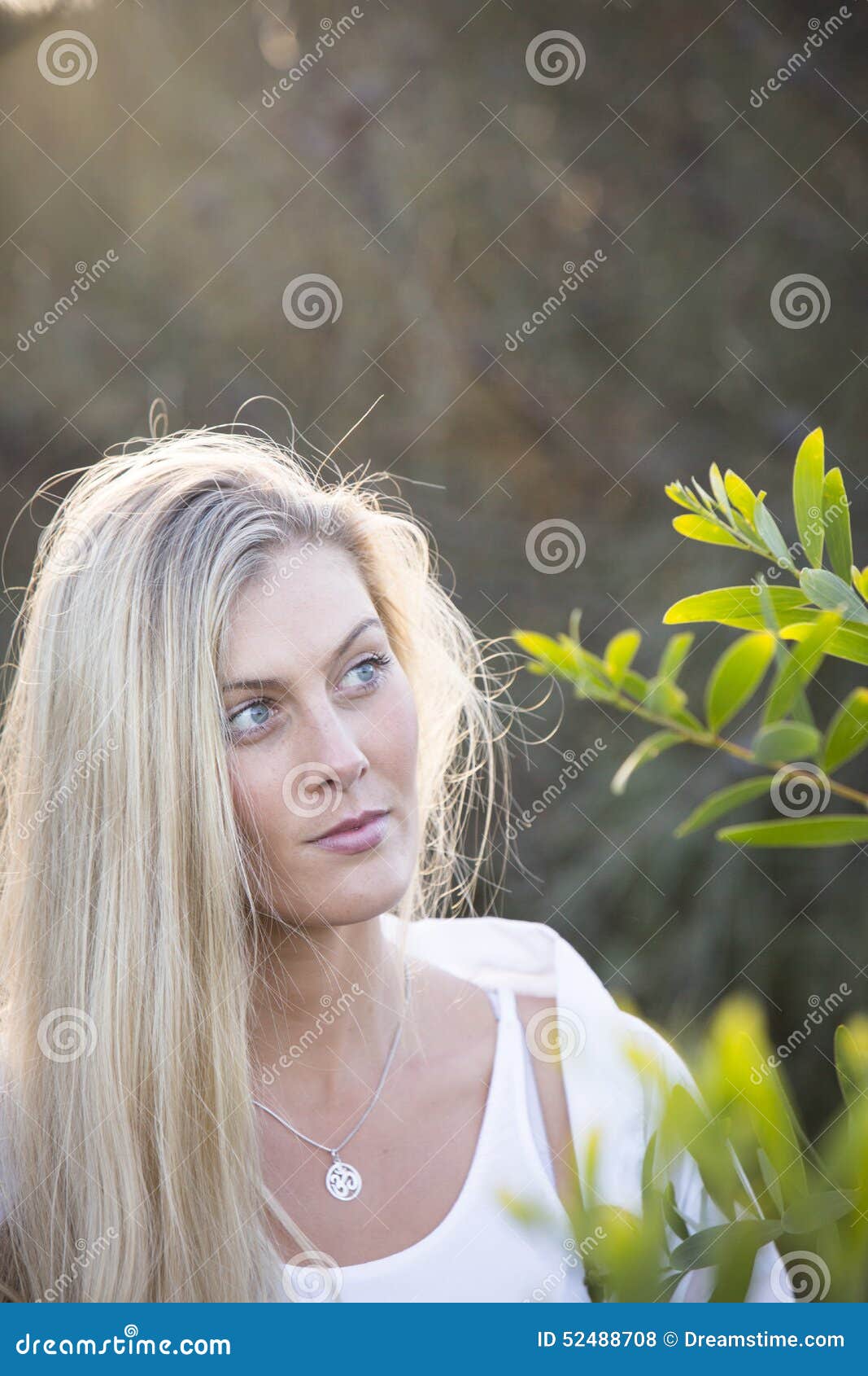 Australian with Long Blond Hair Touching Tree Stock Photo - Image of 52488708