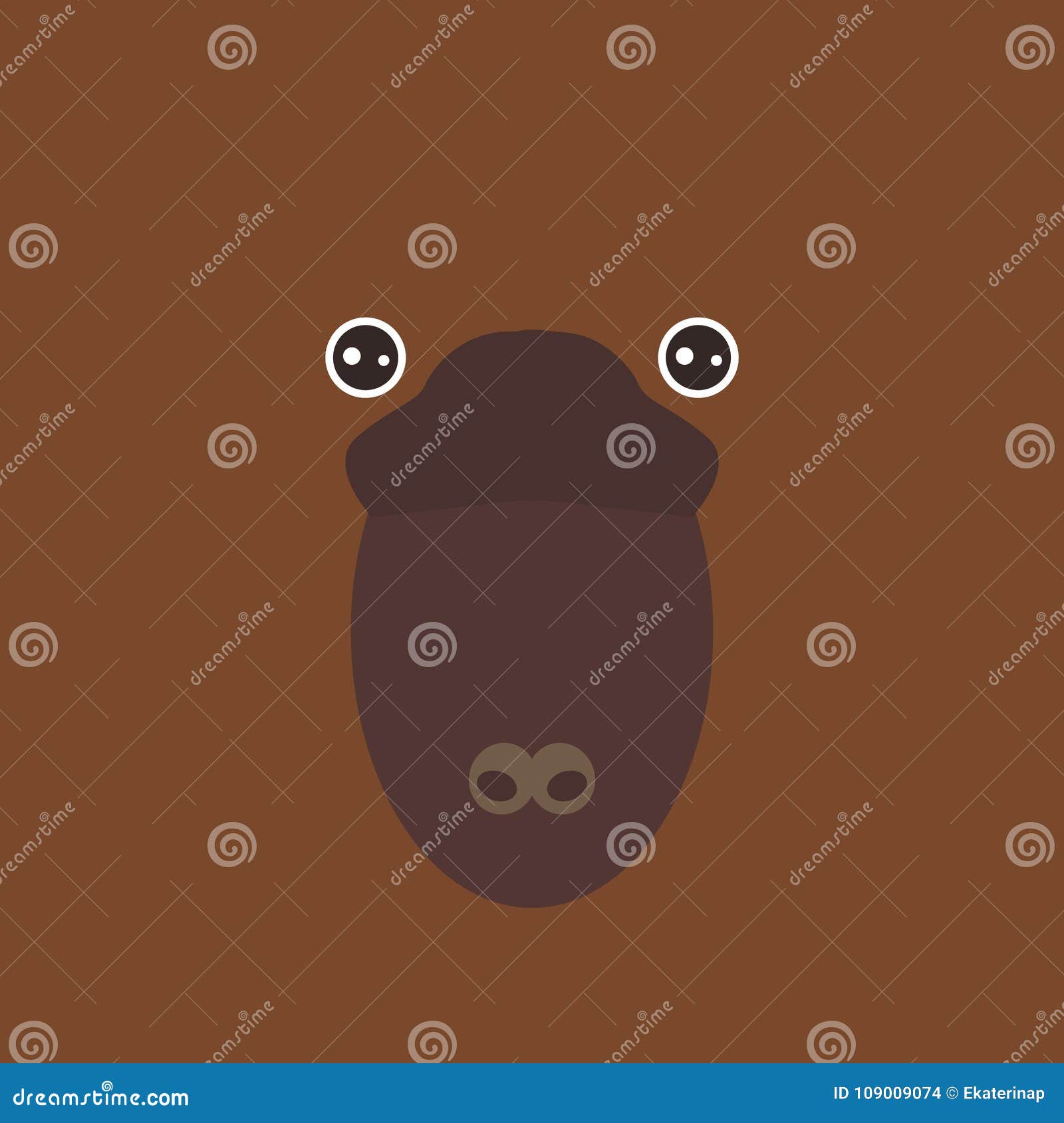 australian platypus funny face on brown background. 