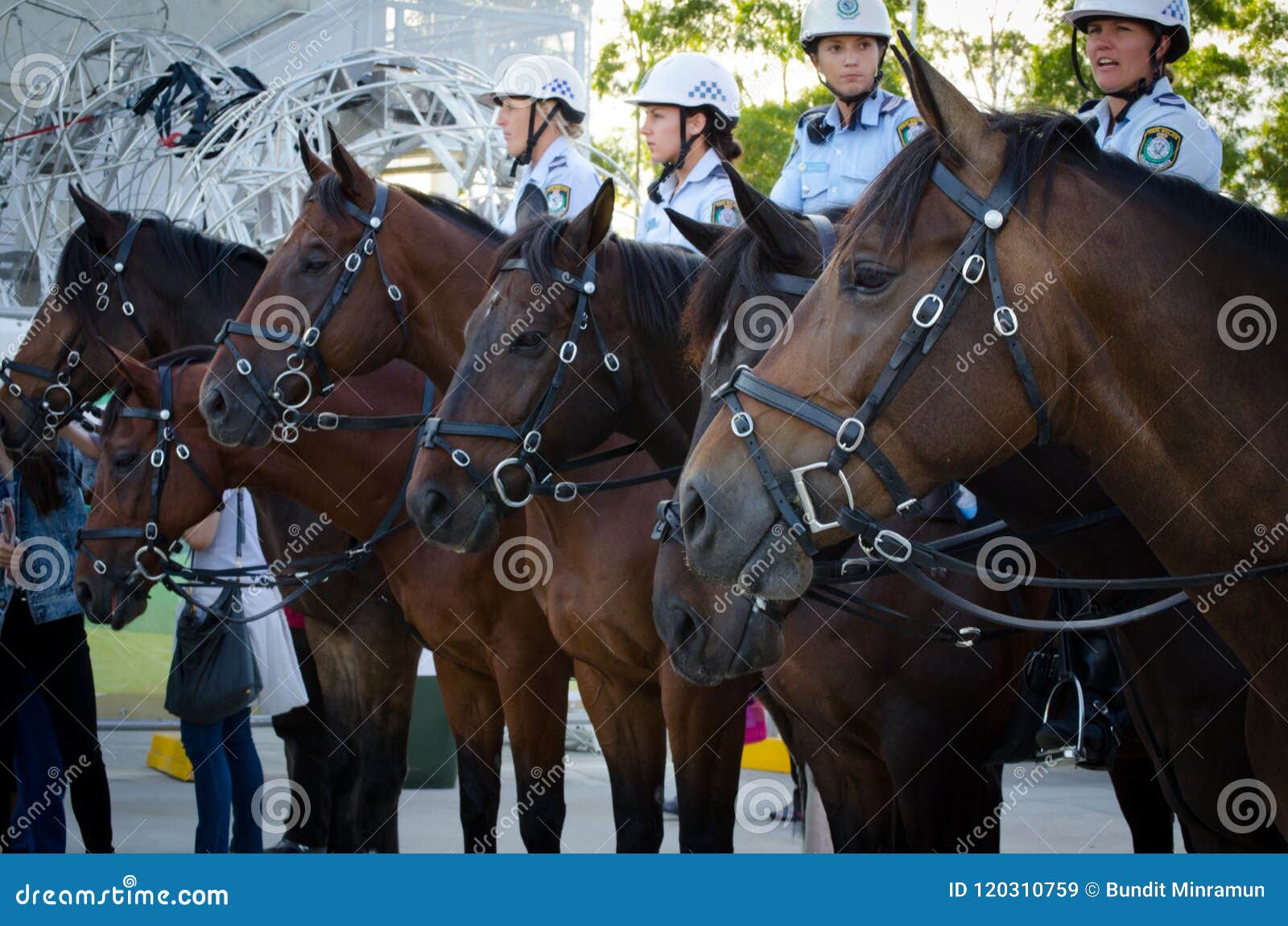 Australian Policewomen Officers on Horses in Easter Show at Olympic Park. Editorial Stock Image - Image of australia, horses: