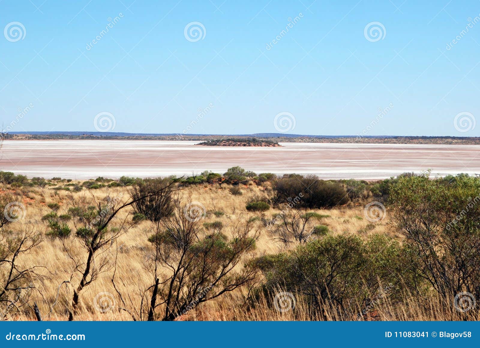 Australian Salt Lake and Spinifex Grass Editorial Photo Image of