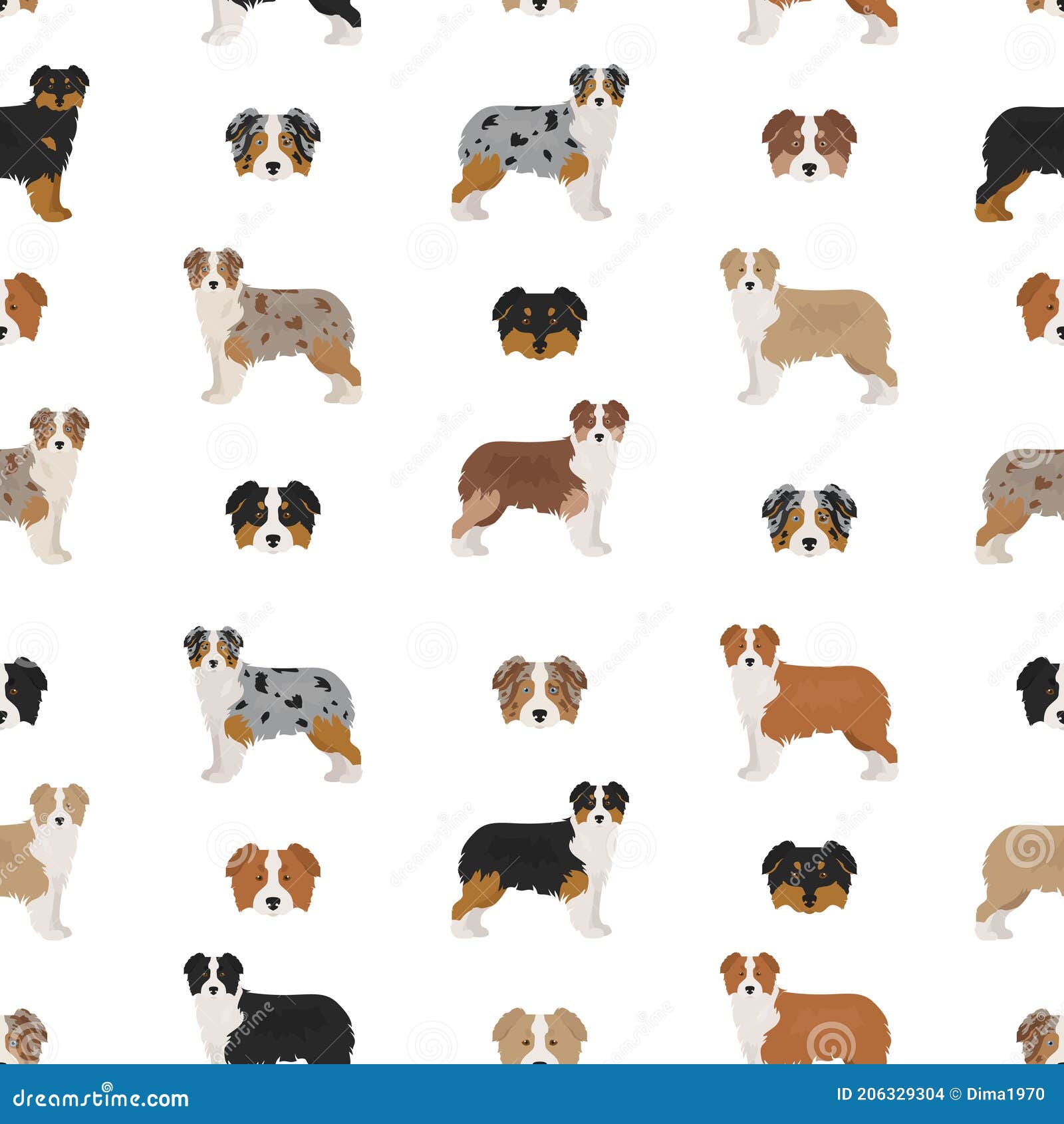 Australian Shepherd Dog Seamless Pattern. Different Variations of Coat