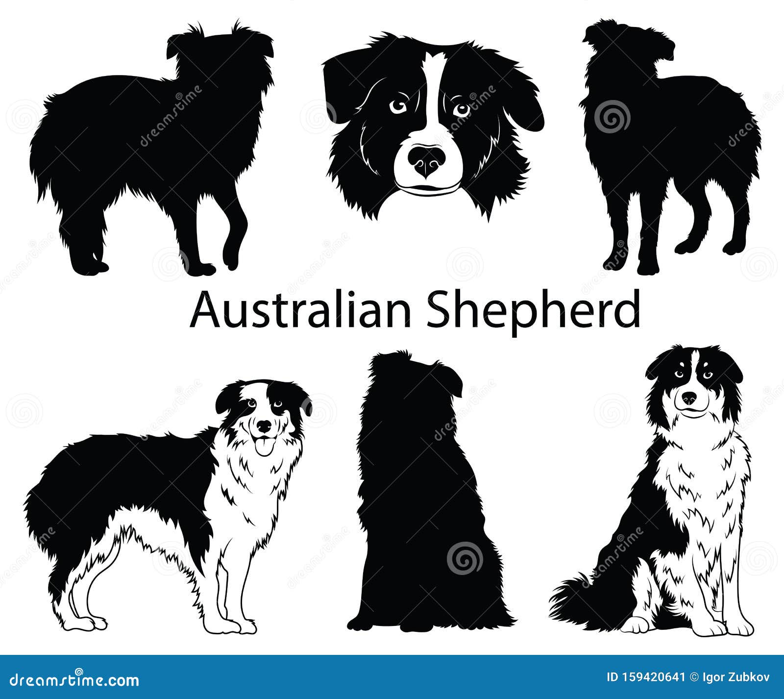 Australian Shepherd SVG PNG DXF, Cricut, Aussie Clipart Download, Dog ...