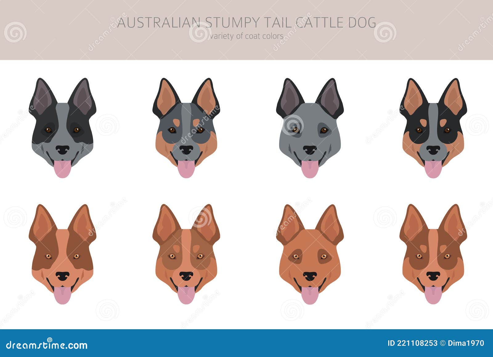 Blue heeler hotsell coat colors