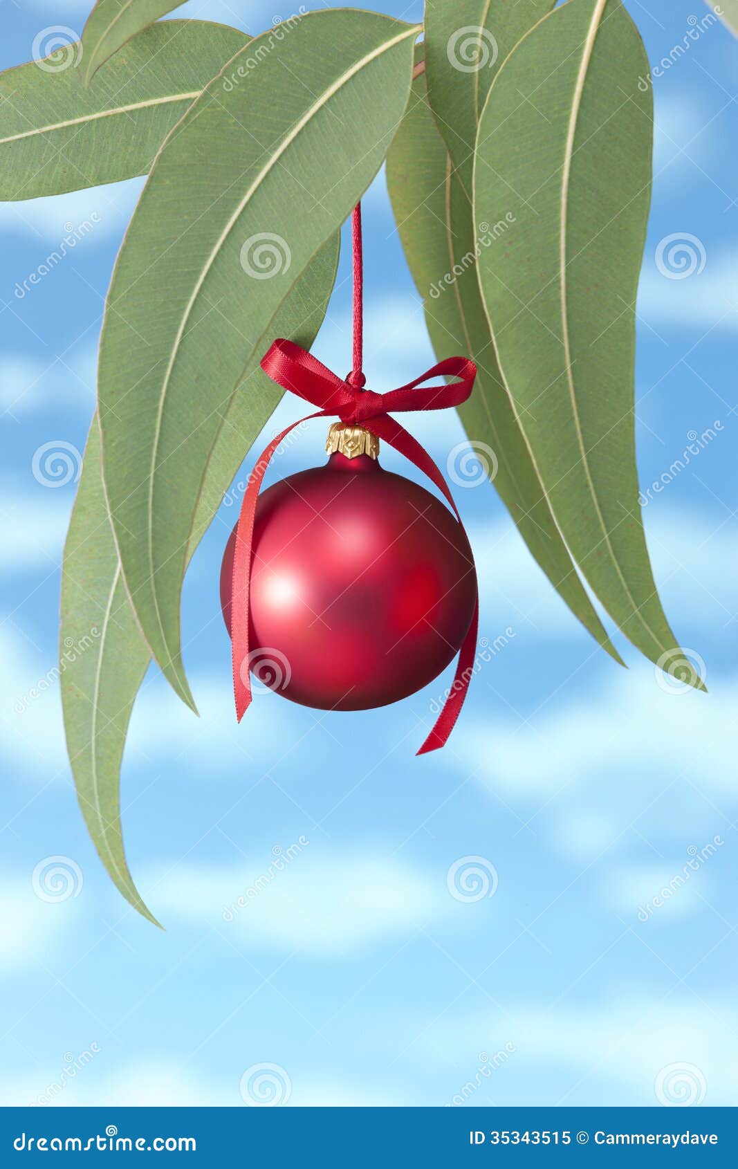 clip art australian christmas free - photo #27