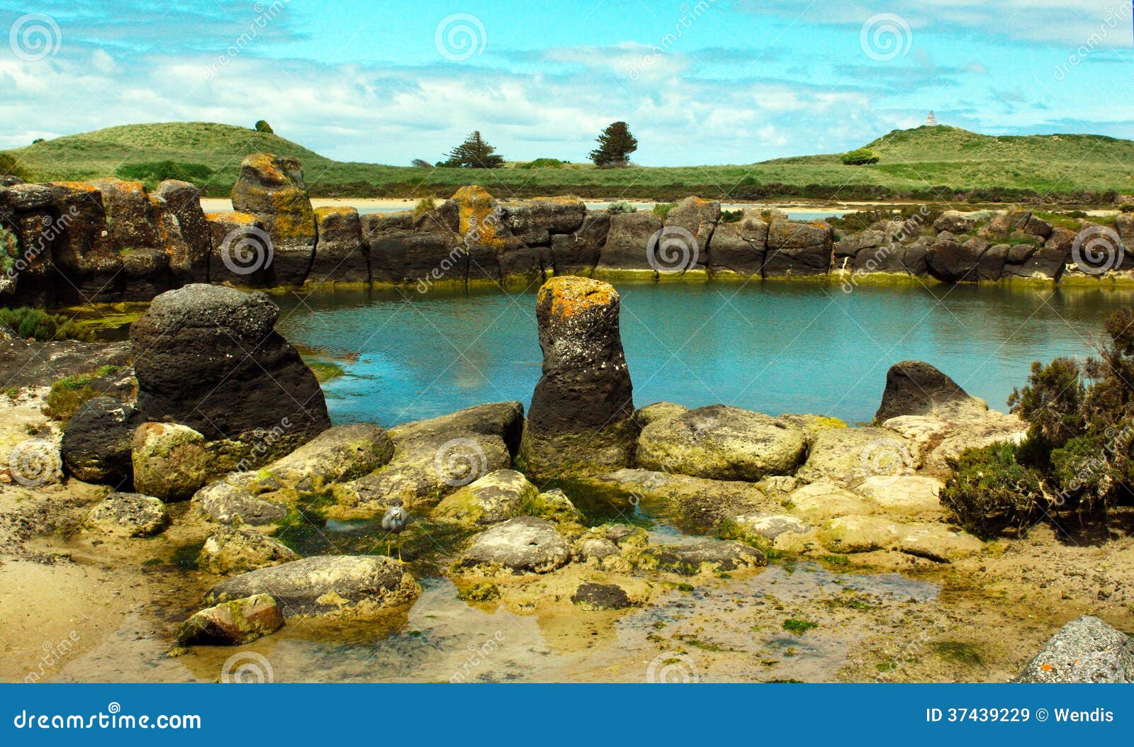Australiano Rockpool imagen de archivo. Imagen de amarillo 37439229