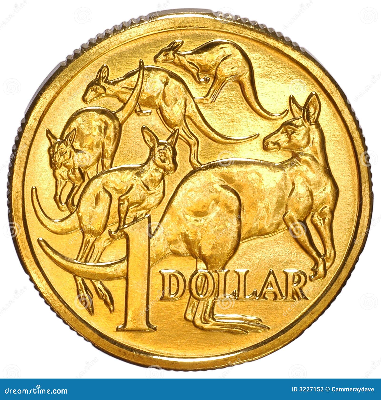 Australiano Una Moneta Del Dollaro Fotografia Stock Immagine Di australiano-una-moneta-del-dollaro-fotografia-stock-immagine-di