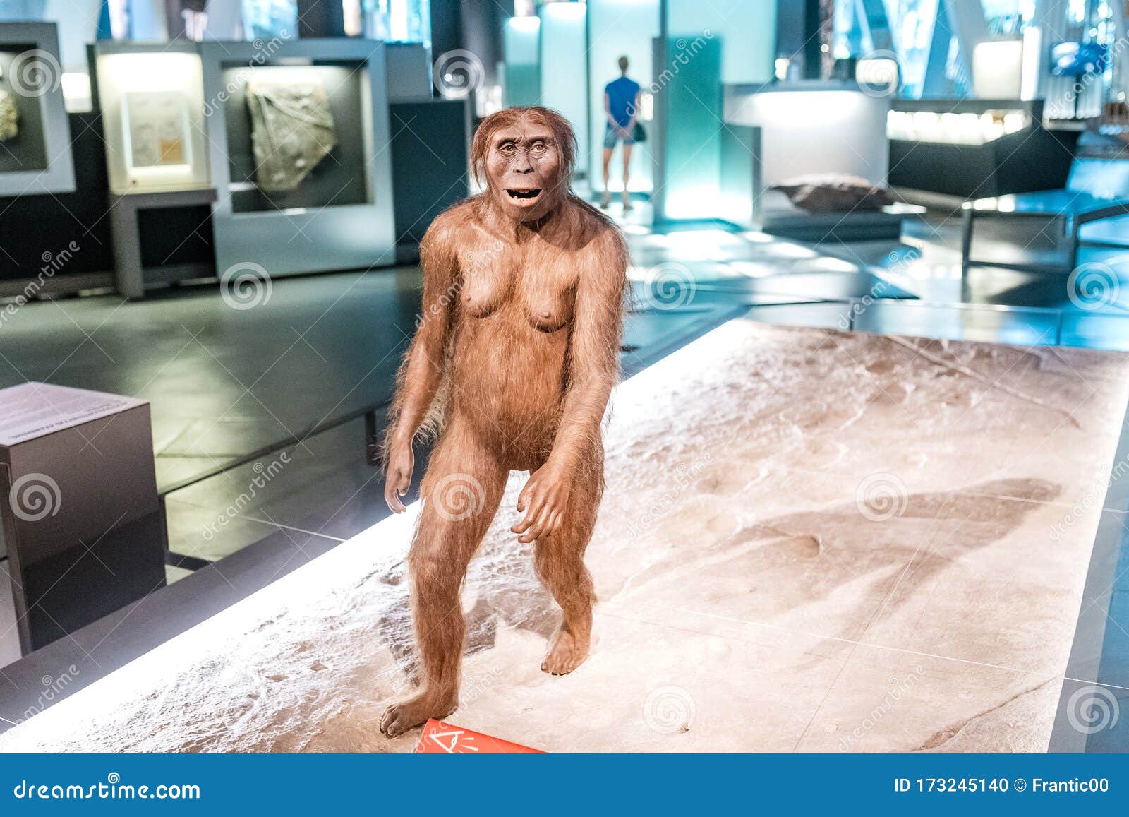 australopithecus-female-prehistoric-woman-museum-exhibition-july-cosmocaixa-barcelona-spain-173245140.jpg