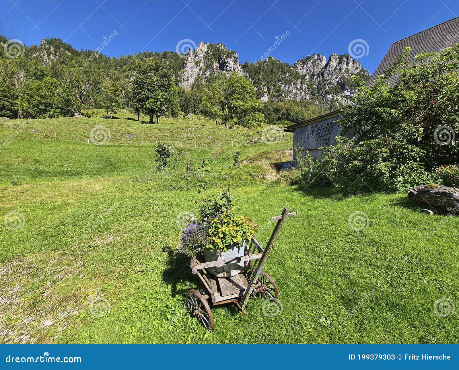 austria, national park kalkalpen